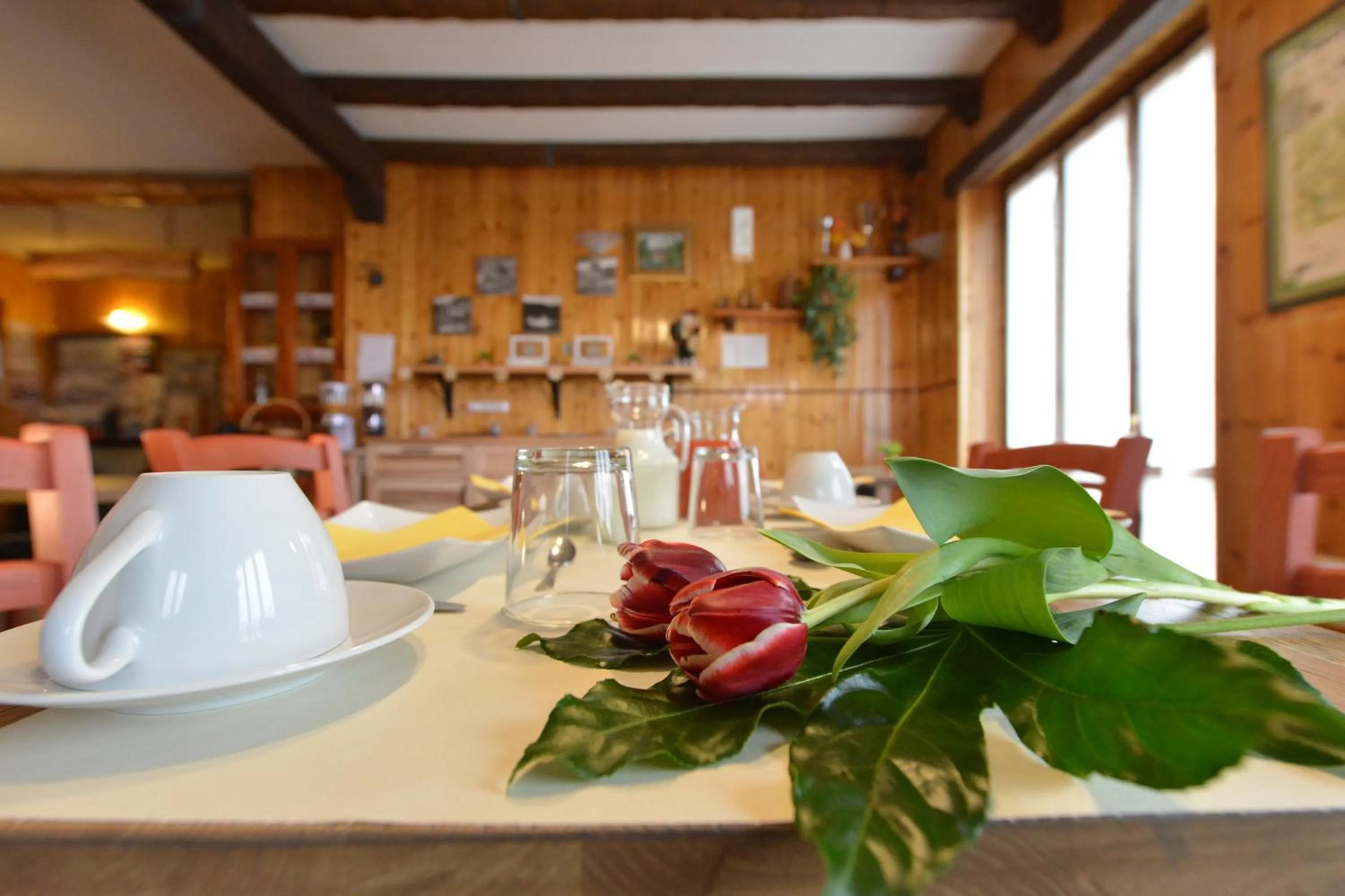 Restaurant/places to eat in Residence Bellevue