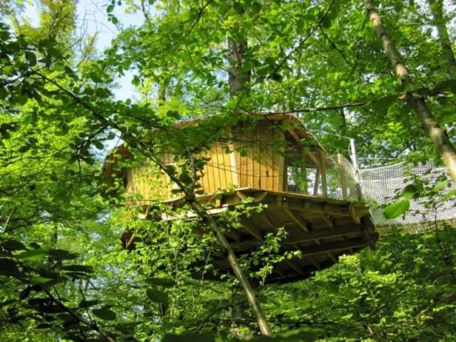One-Bedroom Chalet in Les cabanes du lac du Der