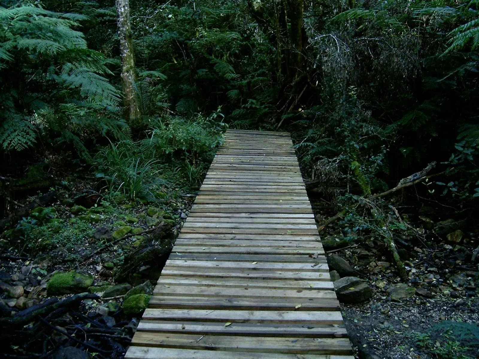 Natural landscape in Storms River Guest Lodge