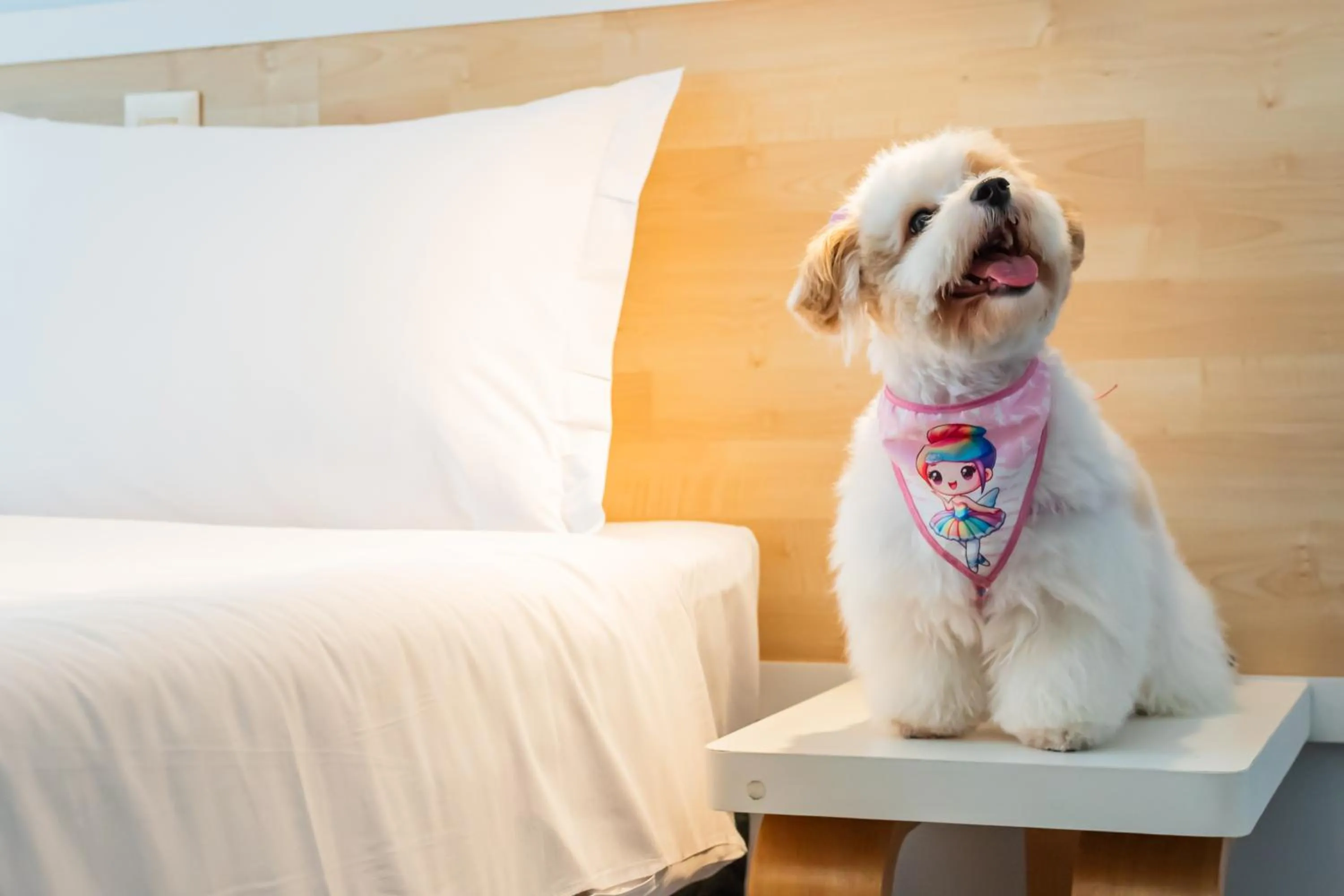 Bed in ibis Styles Manaus