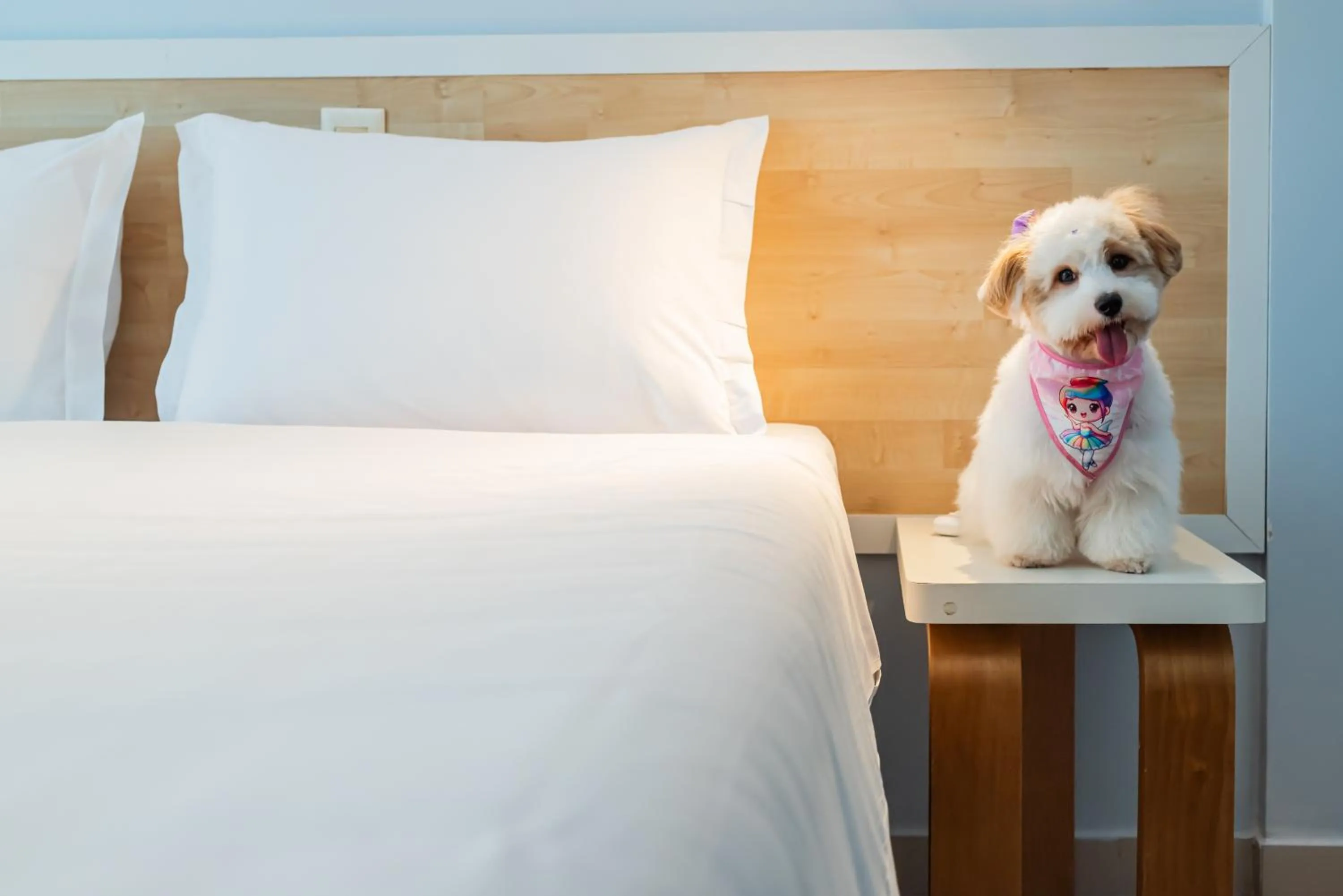 Bed in ibis Styles Manaus