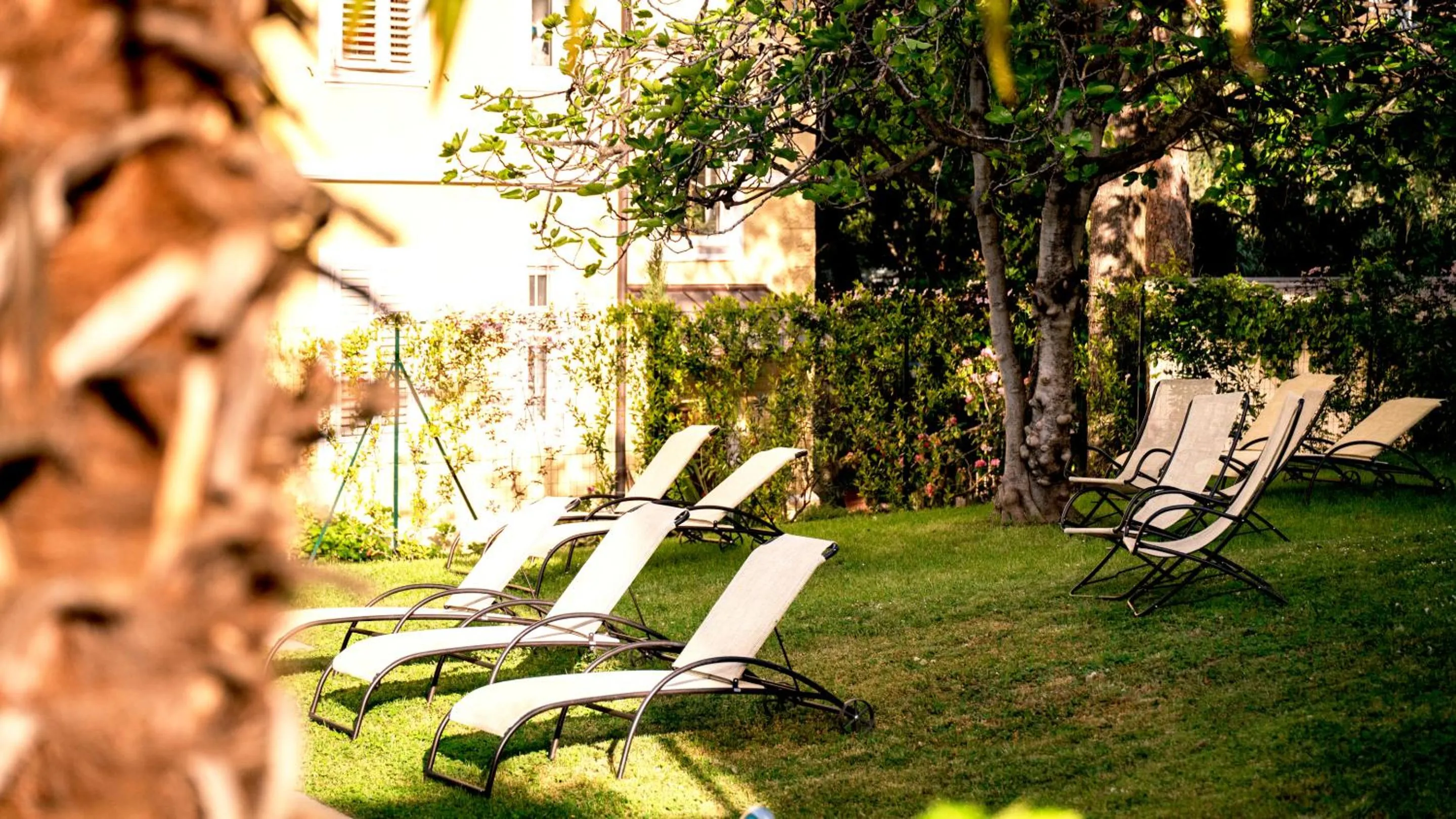 Garden in Hotel Villa Laurus