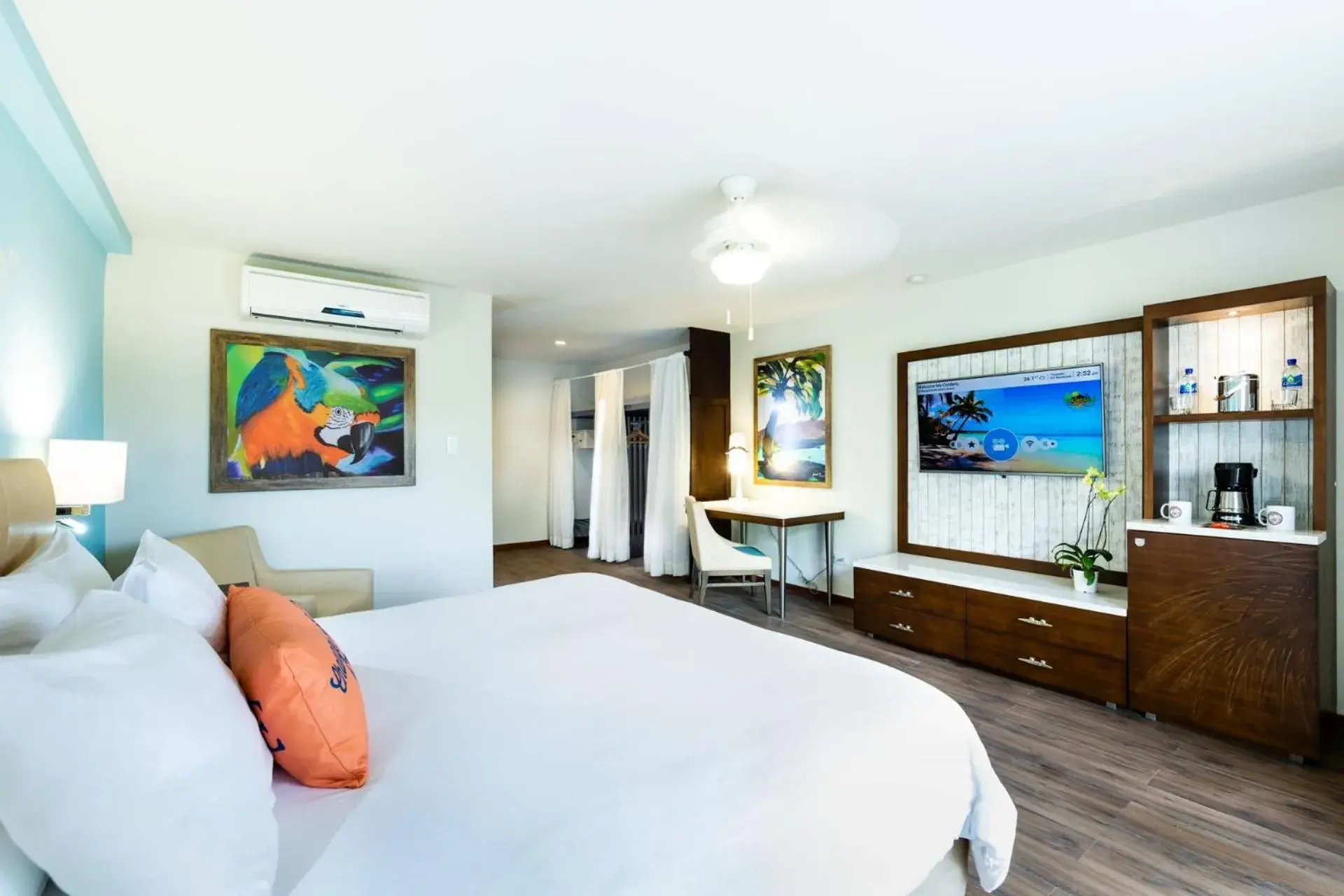 Standard Room - single occupancy in Margaritaville Beach Resort Playa Flamingo Standard Room - single occupancy in Margaritaville Beach Resort Playa Flamingo