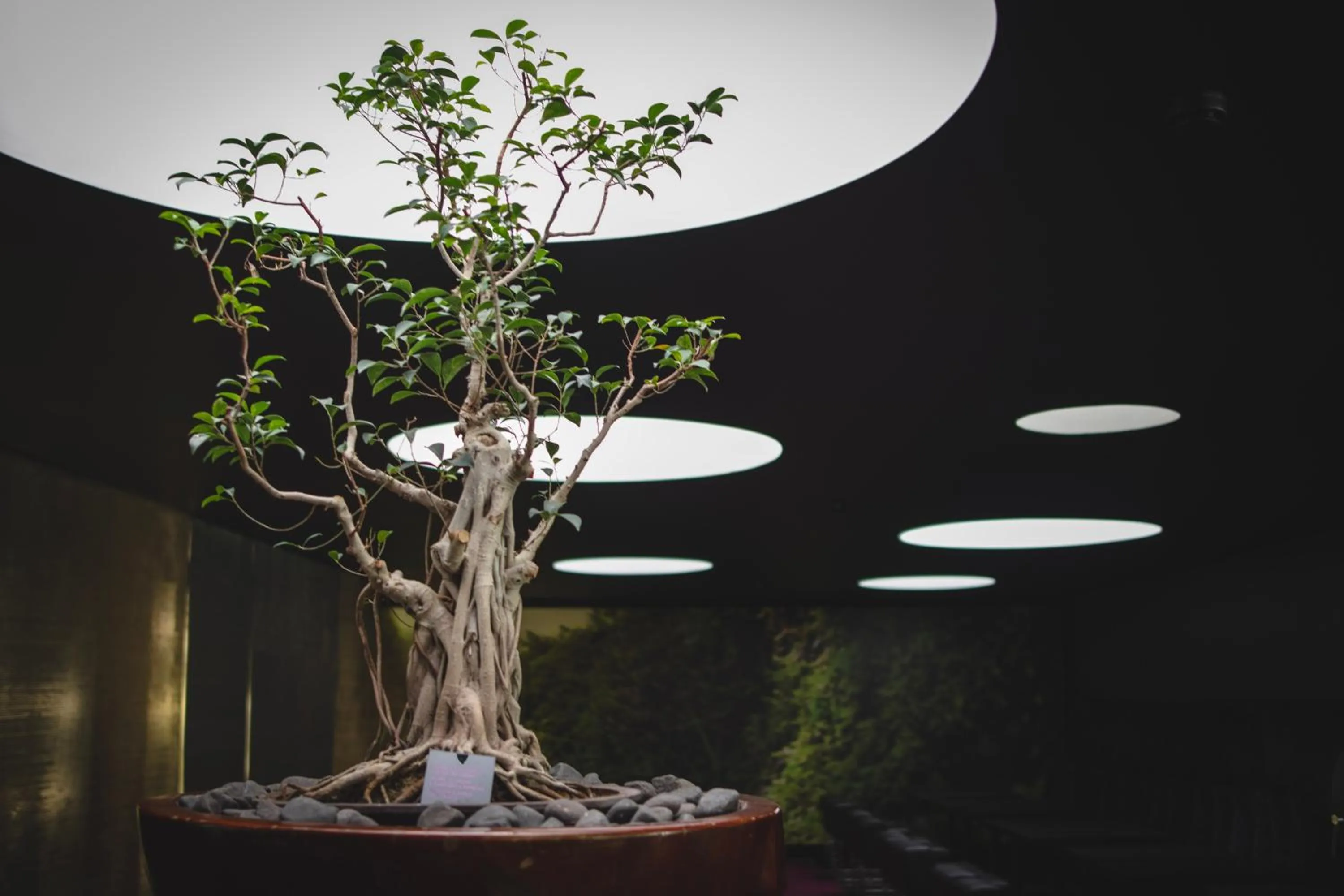 Lounge or bar in DoubleTree by Hilton Lisbon Fontana Park