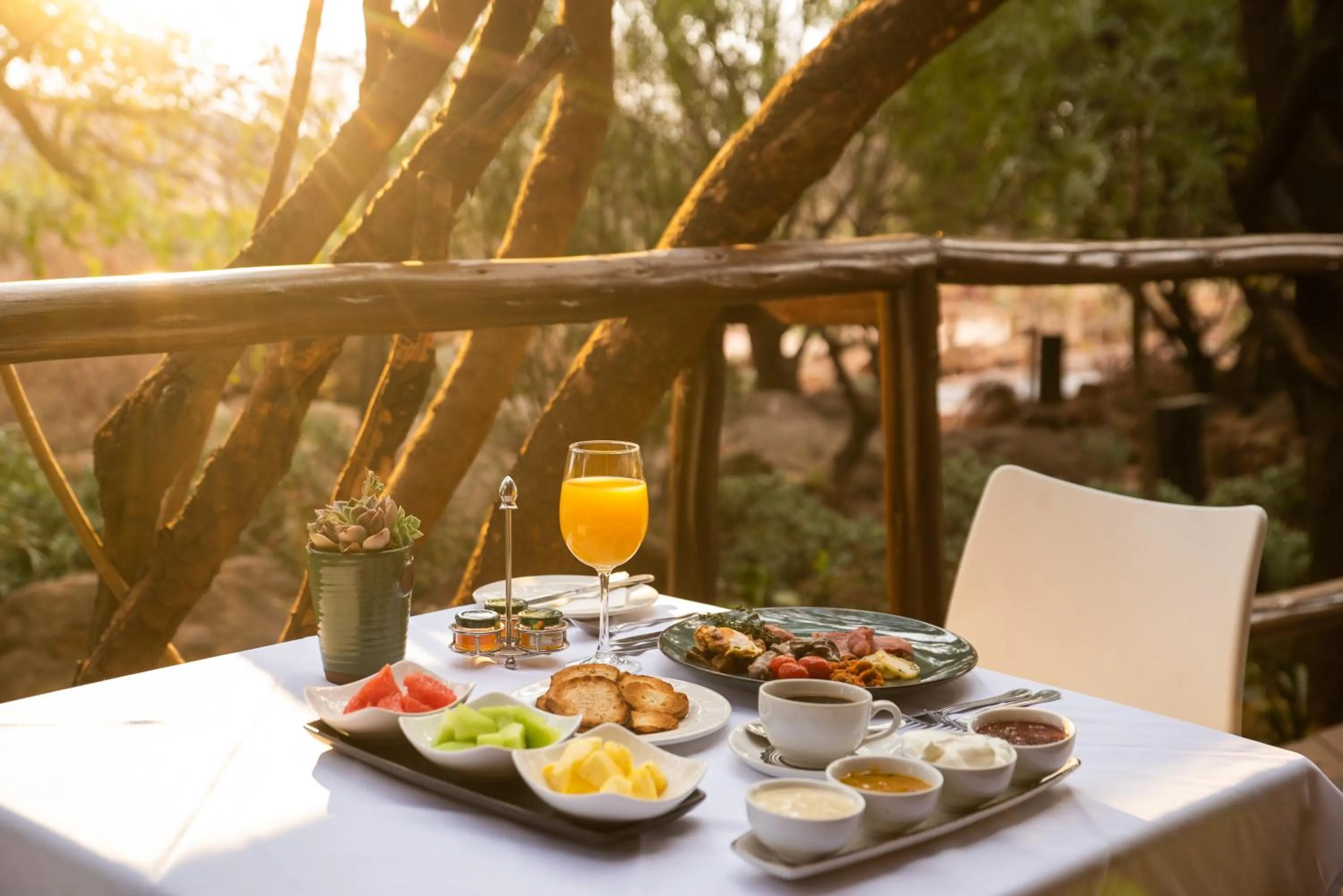 Restaurant/places to eat in Thaba Eco Hotel