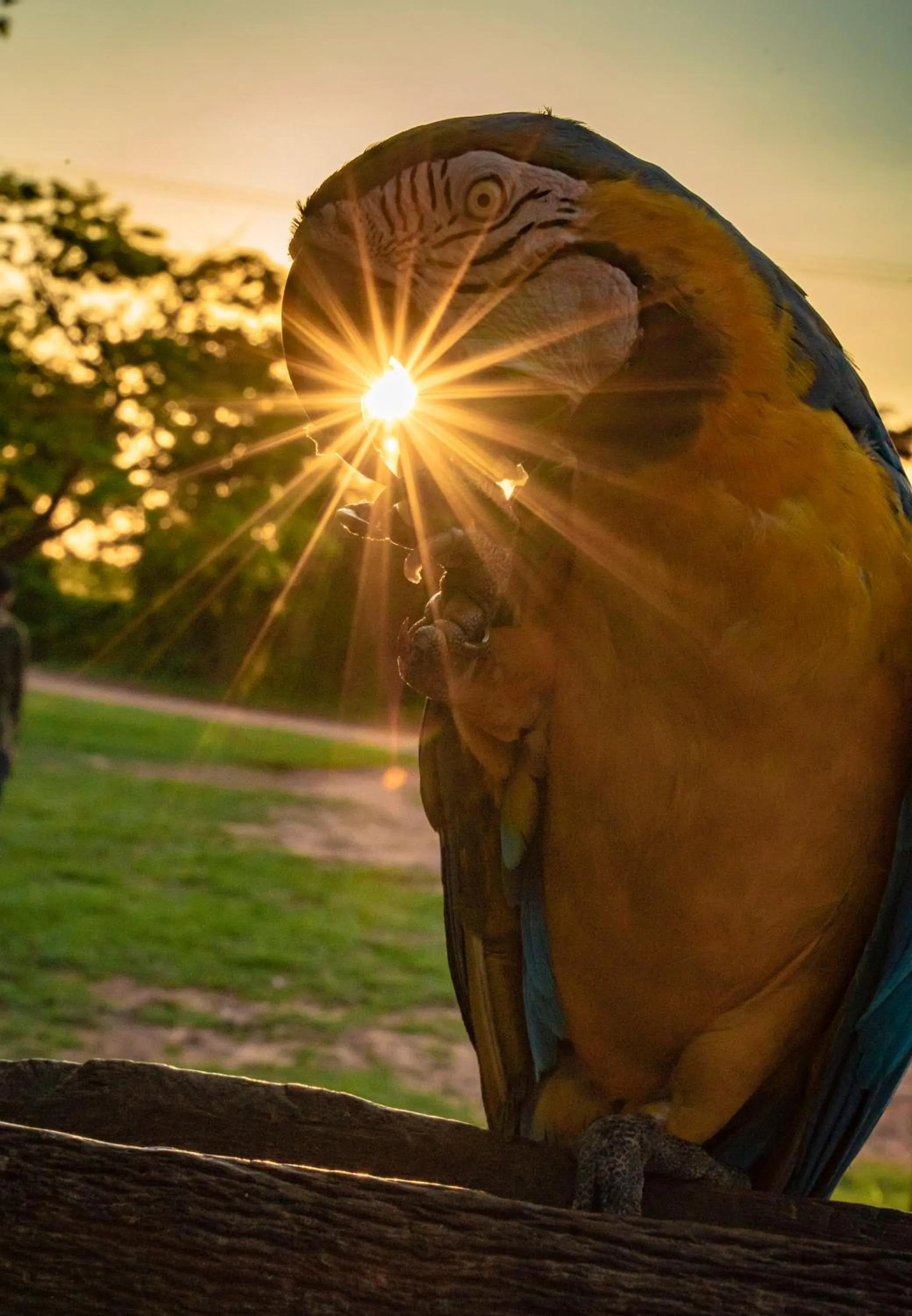 Fazenda San Francisco