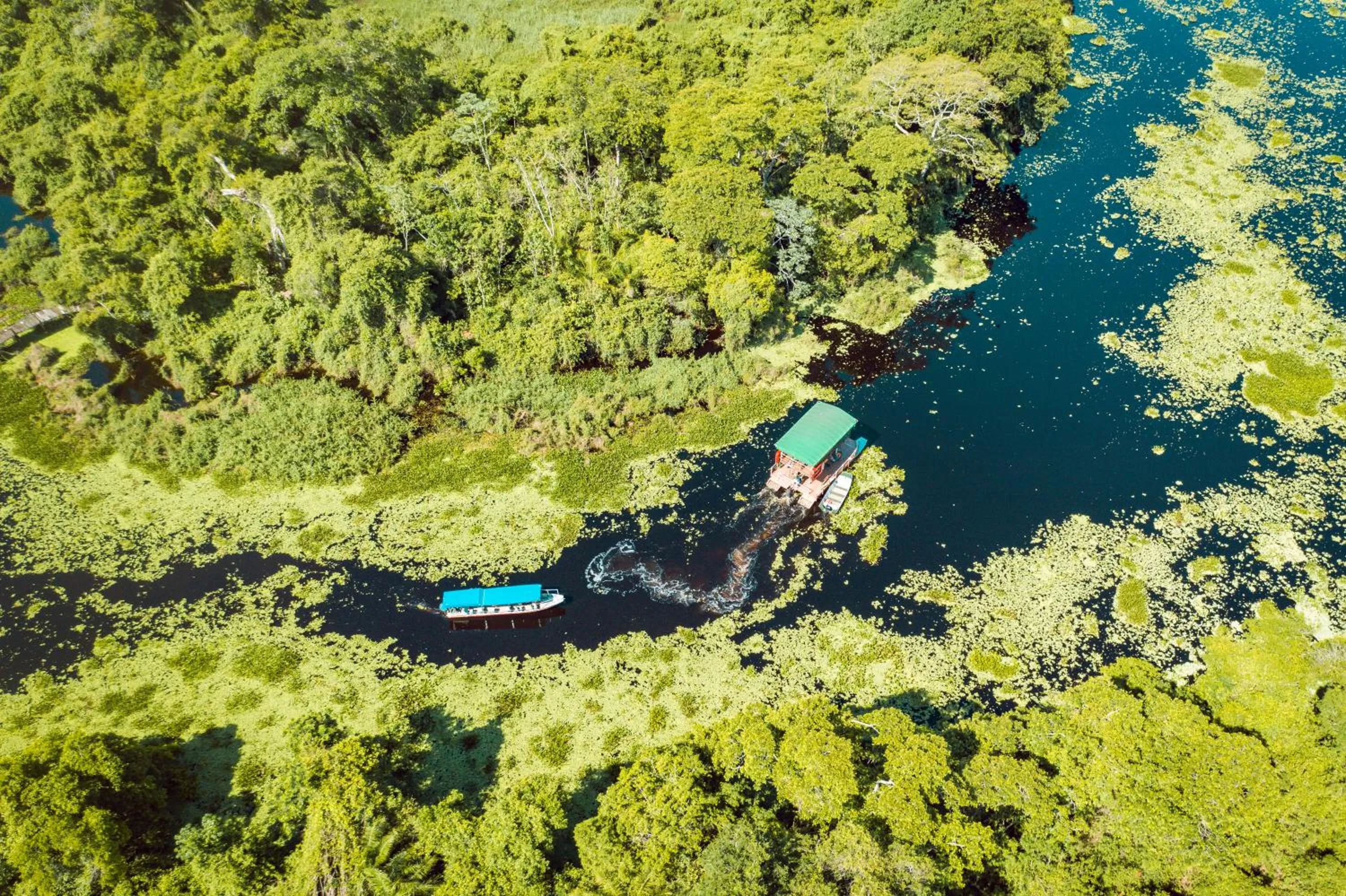 Fazenda San Francisco