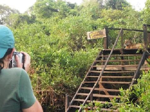 Fazenda San Francisco