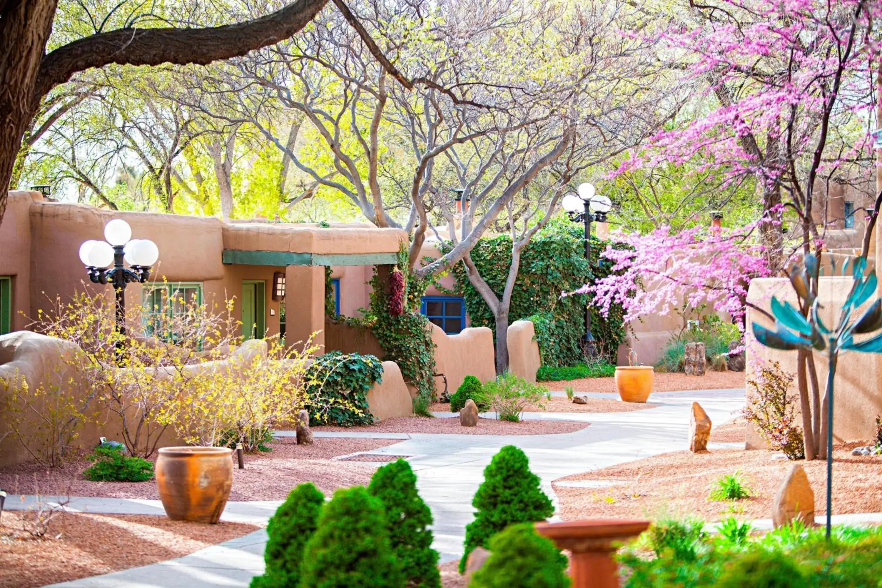 View (from property/room) in La Posada De Santa Fe, a Tribute Portfolio Resort & Spa View (from property/room) in La Posada De Santa Fe, a Tribute Portfolio Resort & Spa