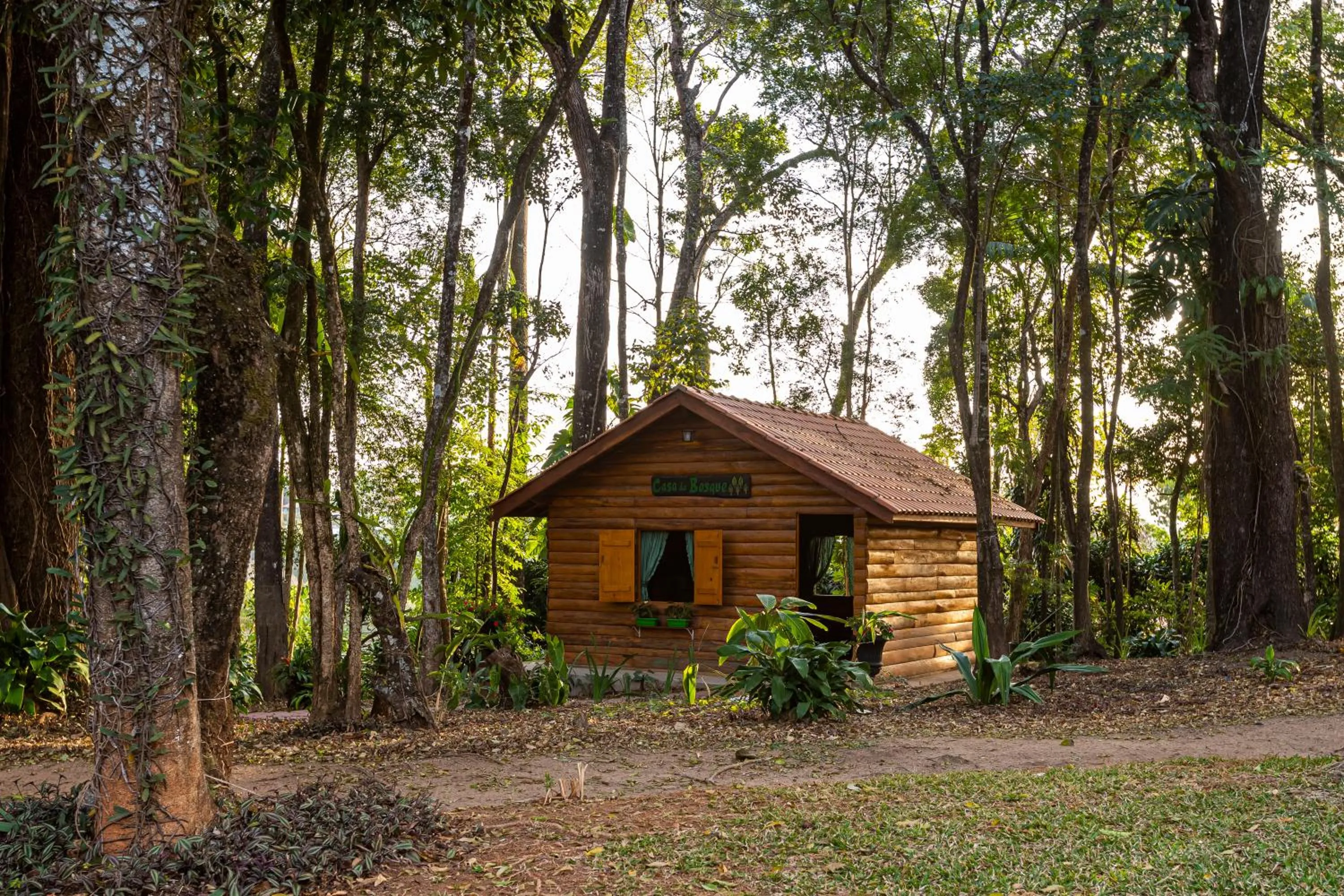 Garden in Grand Resort Serra Negra