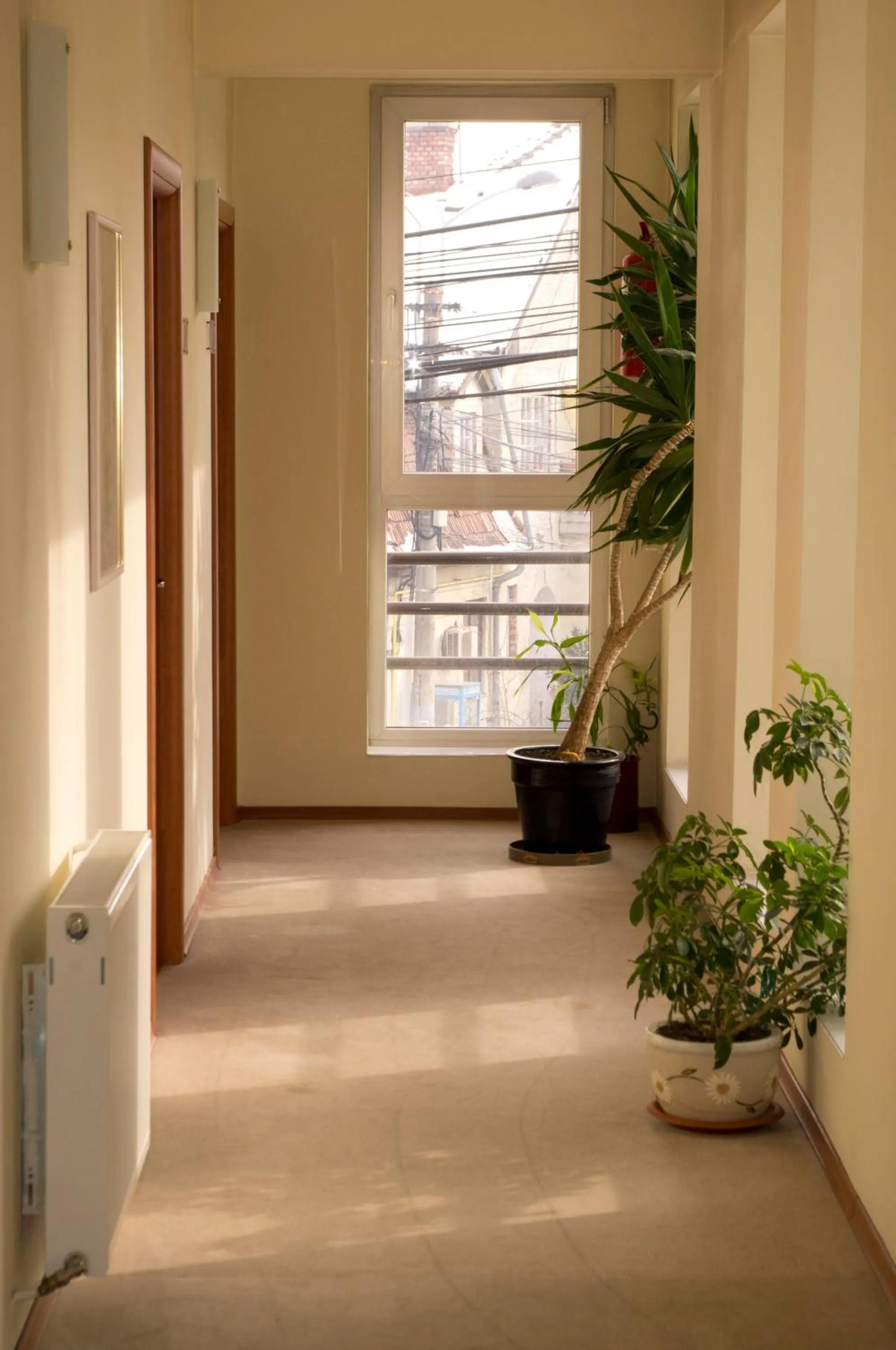 Other in Hotel Seven