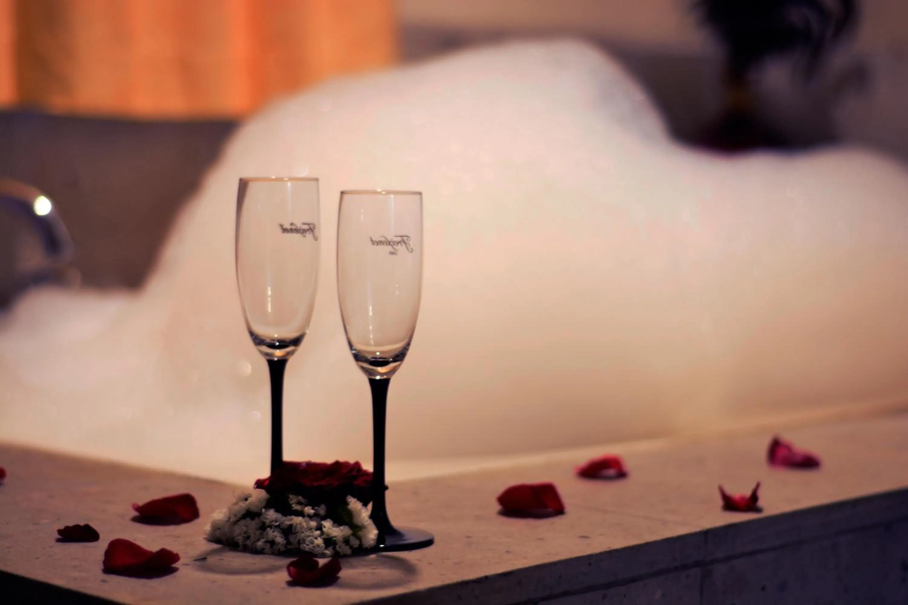 Area and facilities in Hotel San Carlos Tequisquiapan