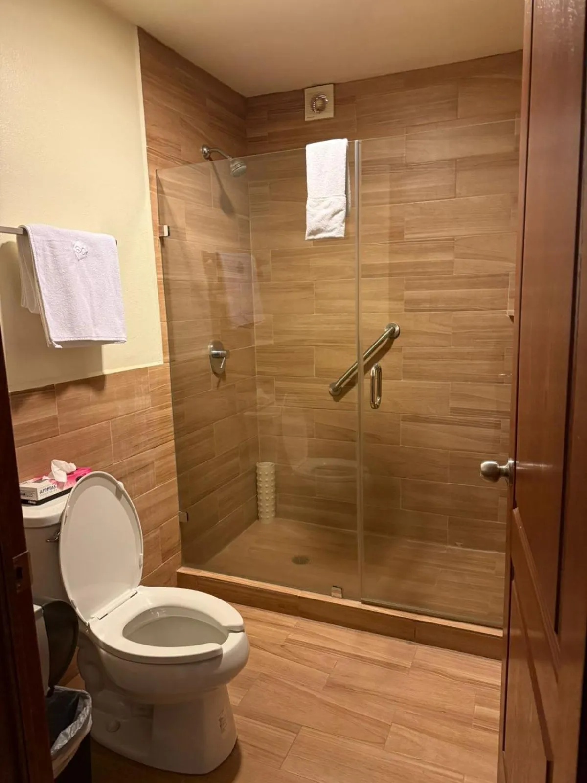 Shower in Hotel San Carlos Tequisquiapan