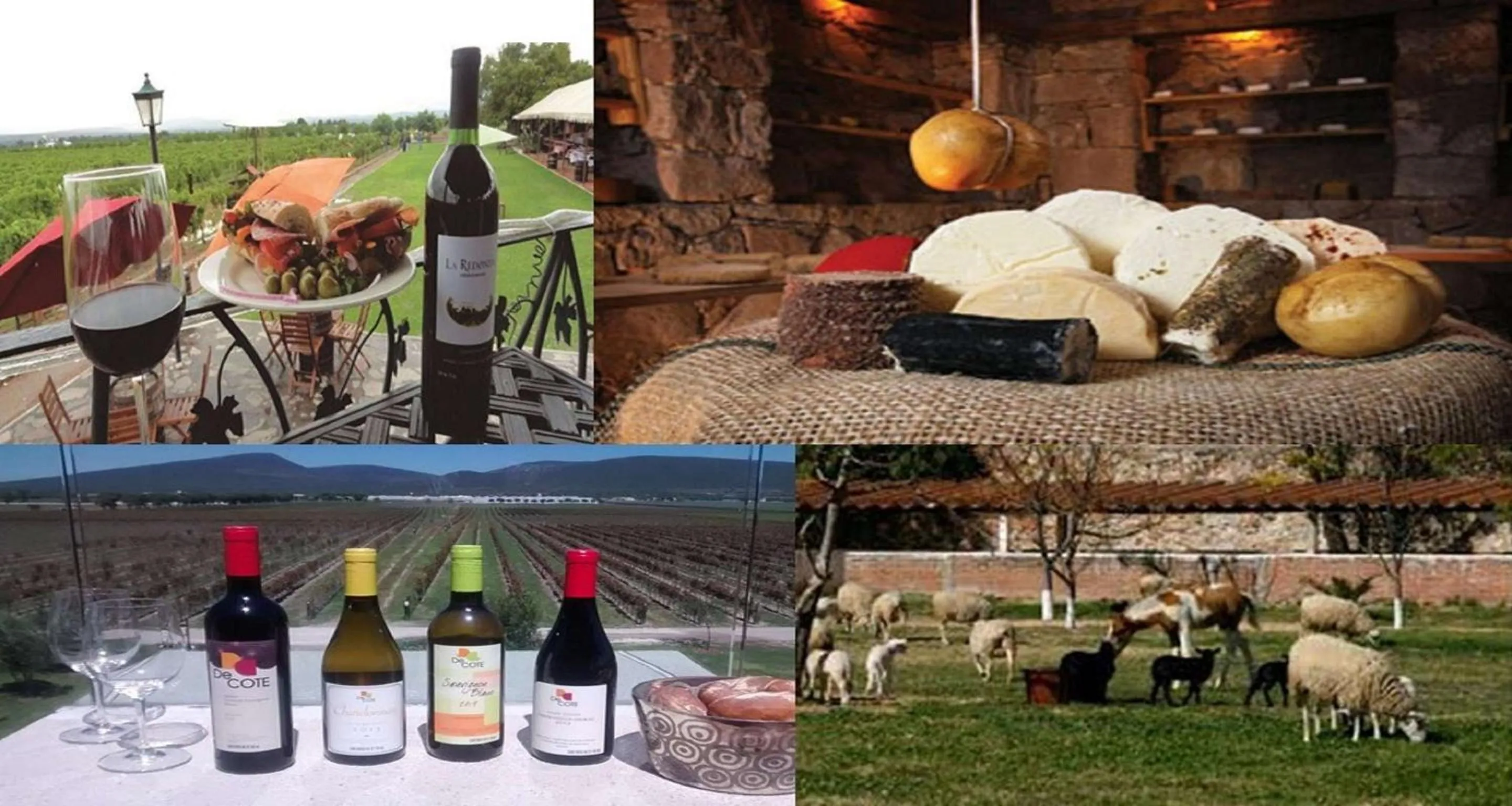 Other in Hotel San Carlos Tequisquiapan