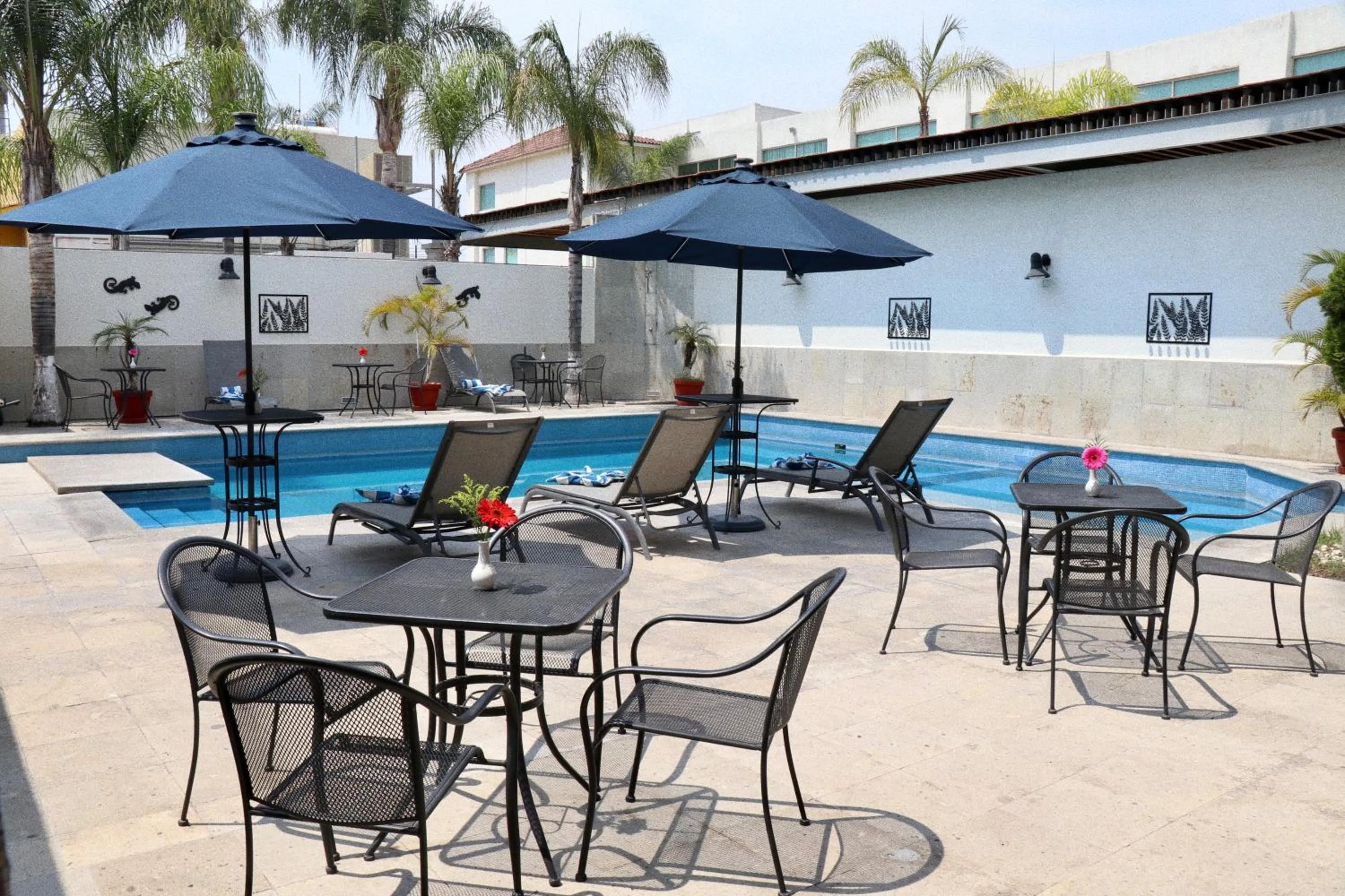 Swimming pool in Hotel San Carlos Tequisquiapan