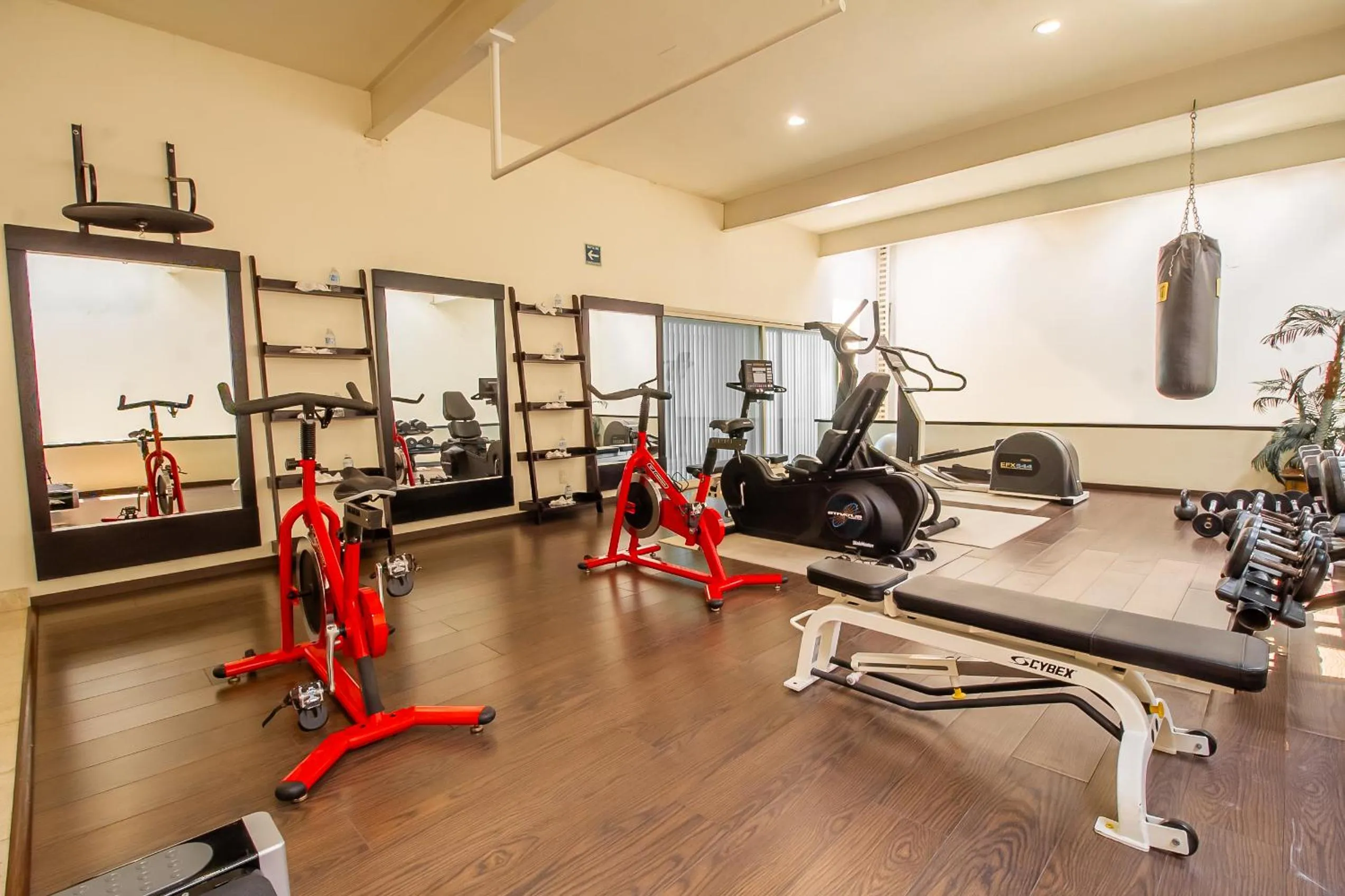 Fitness centre/facilities in Hecthorny San Carlos Tequisquiapan, BW Signature Collection