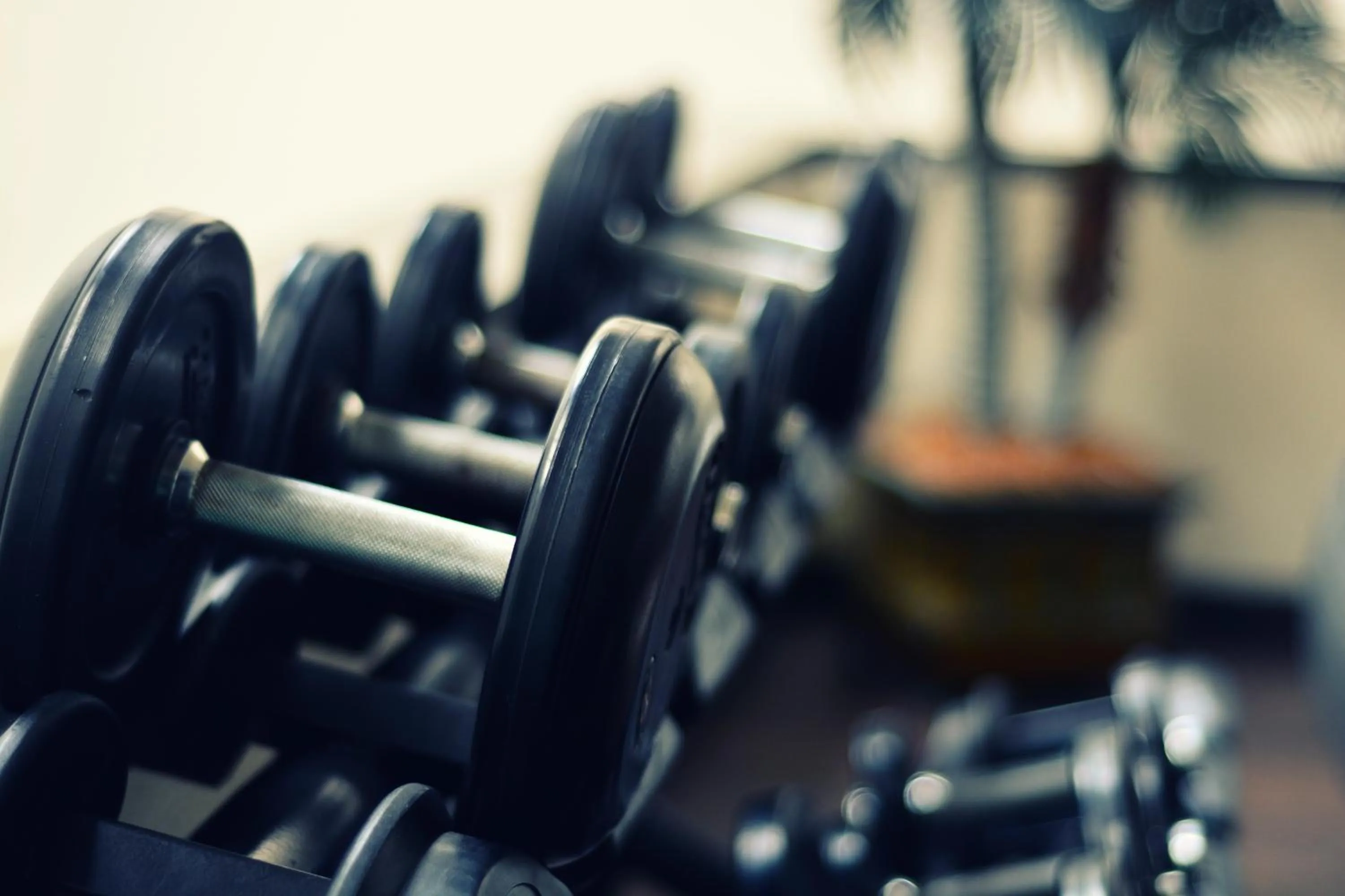 Fitness centre/facilities in Hotel San Carlos Tequisquiapan