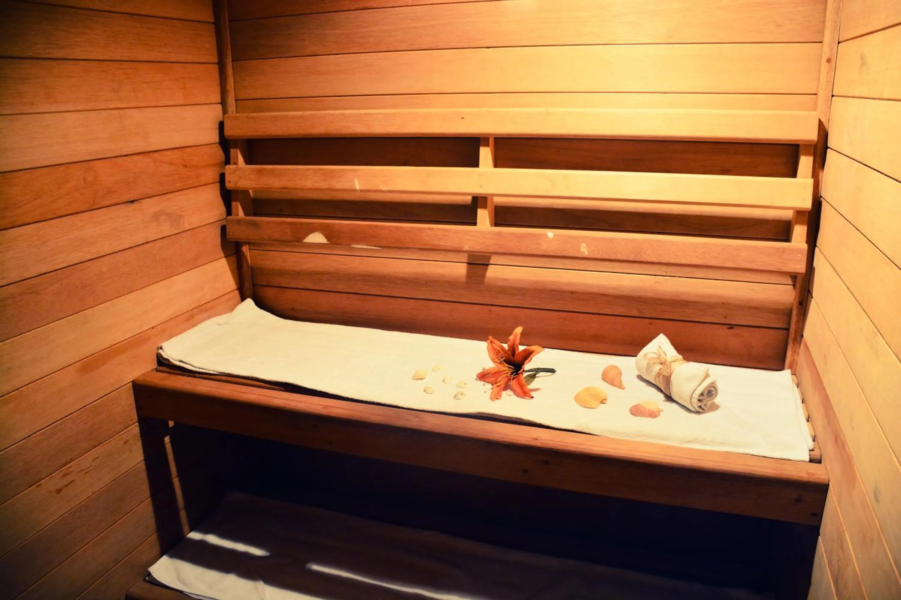 Sauna in Hotel San Carlos Tequisquiapan