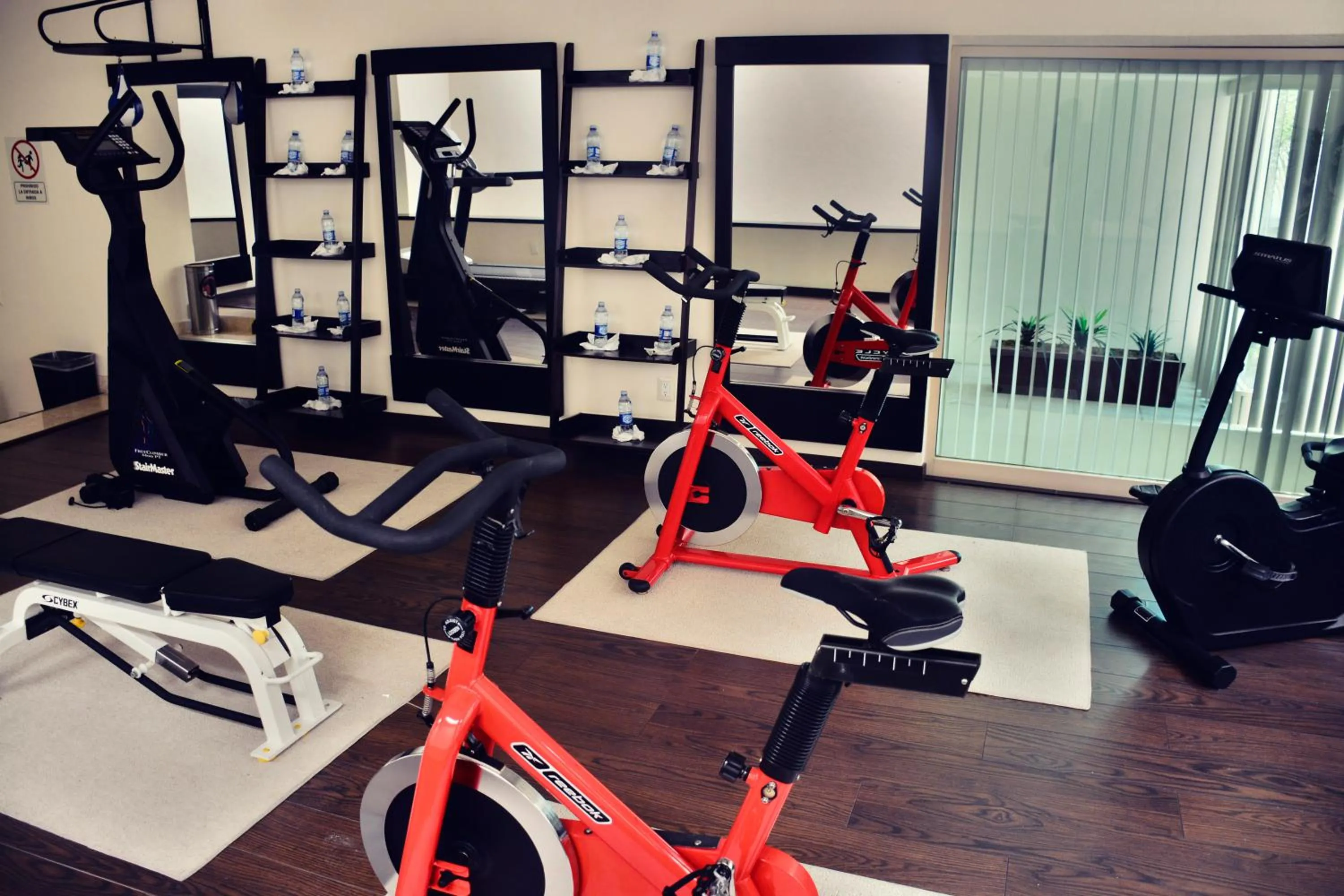 Fitness centre/facilities in Hotel San Carlos Tequisquiapan