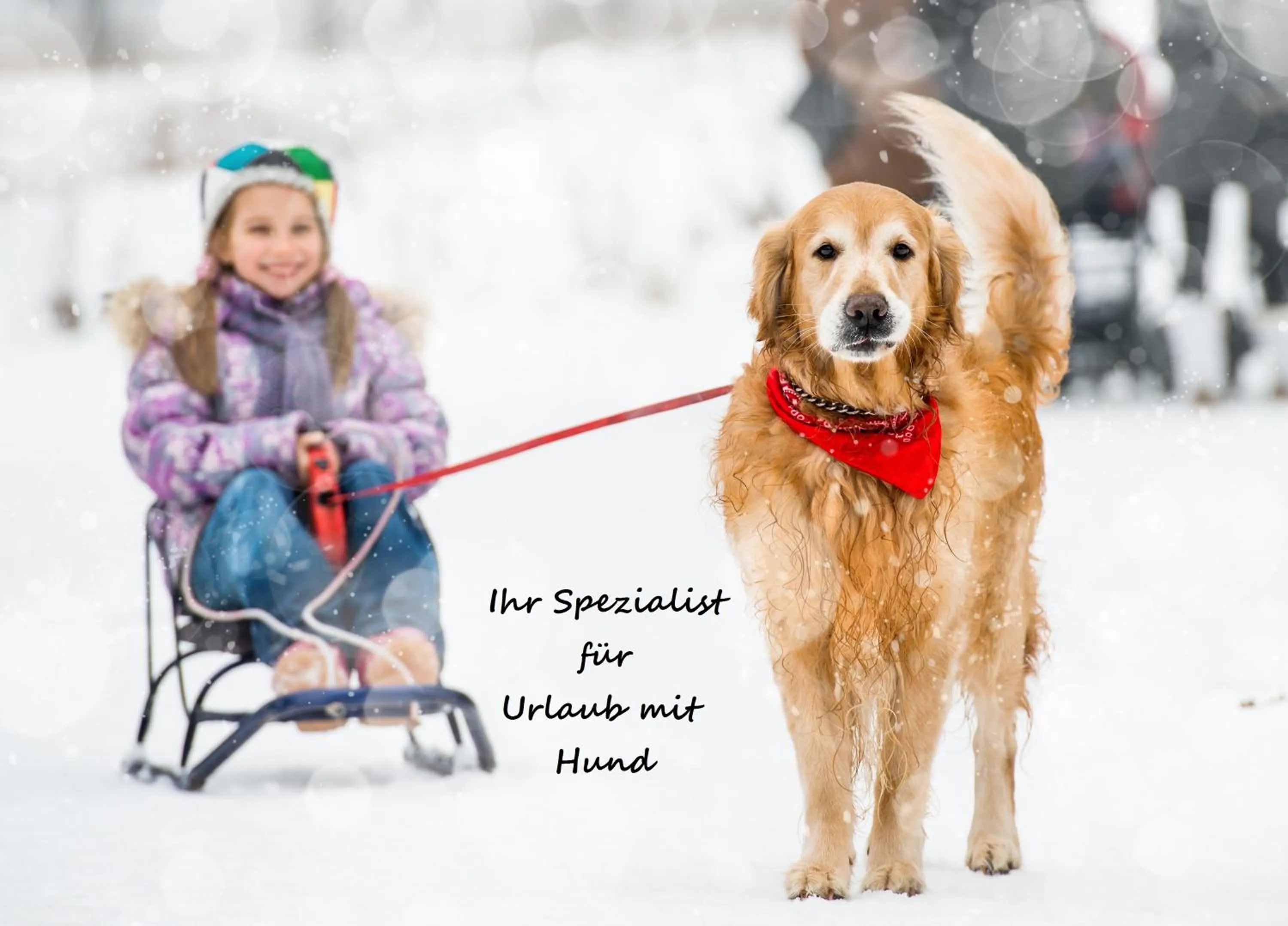 Winter in Landschützer's Country Suites