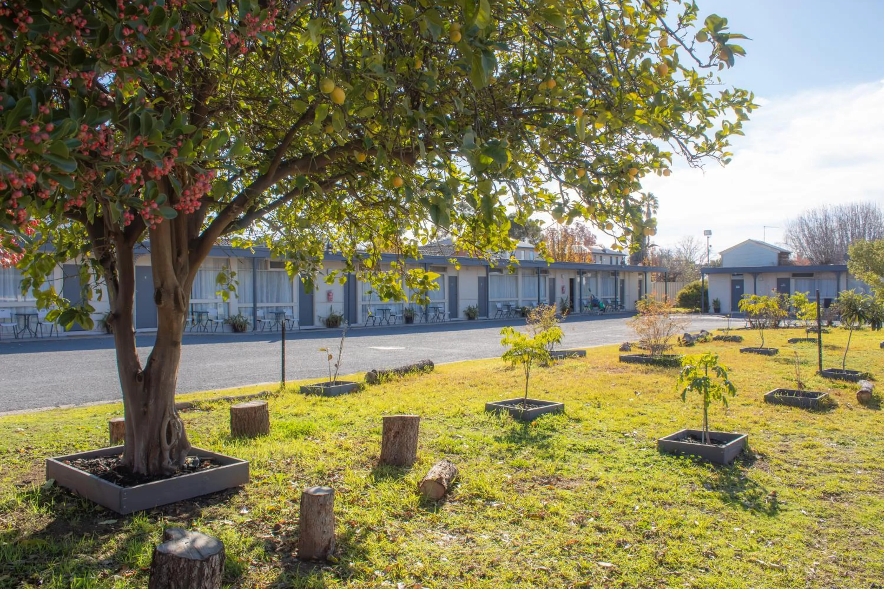 Day in Wangaratta Motor Inn