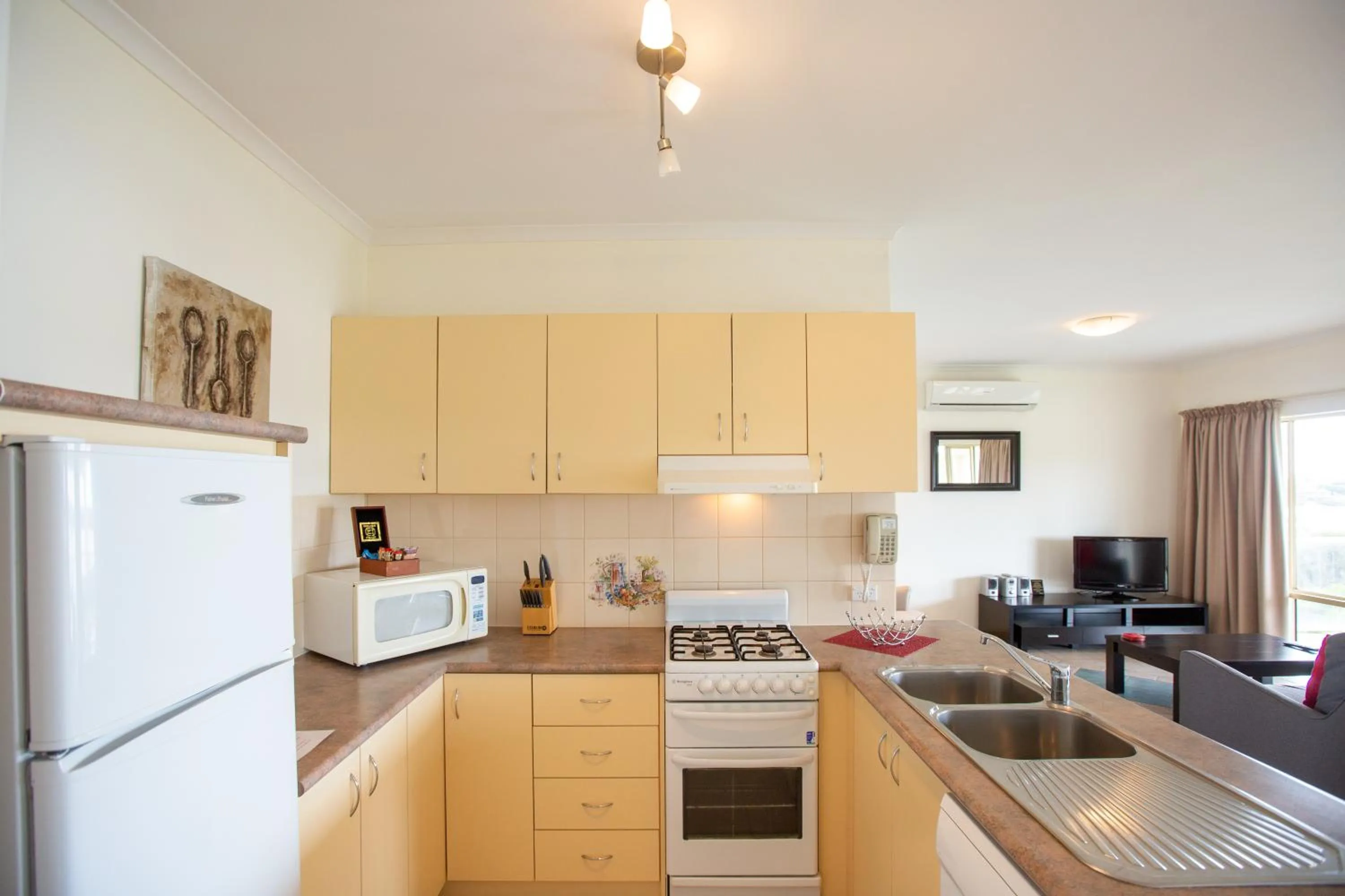 Kitchen or kitchenette in Lakeview Motel and Apartments