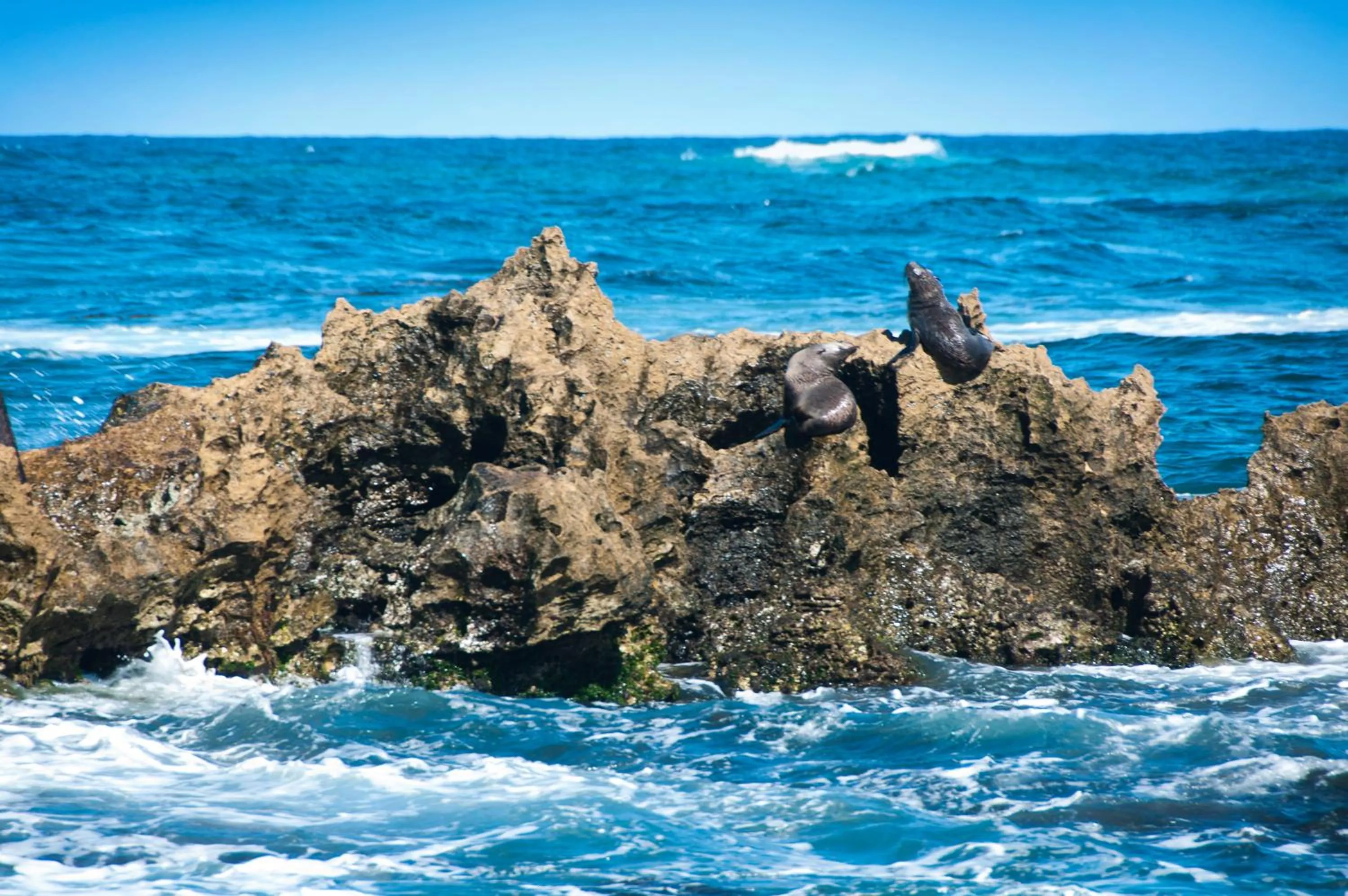 Area and facilities in Lakeview Motel and Apartments