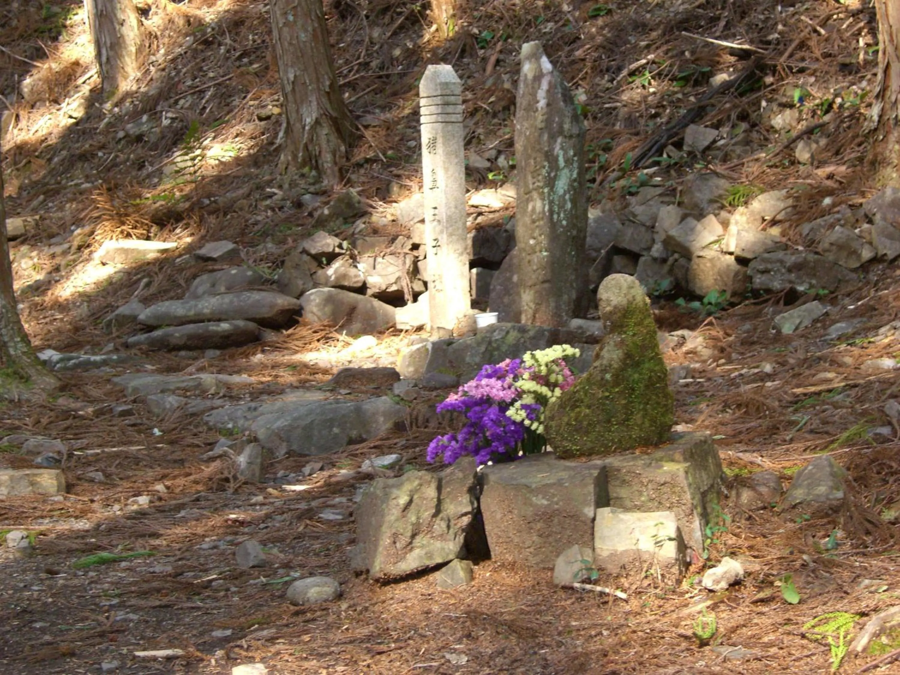 Area and facilities in Ashita no Mori