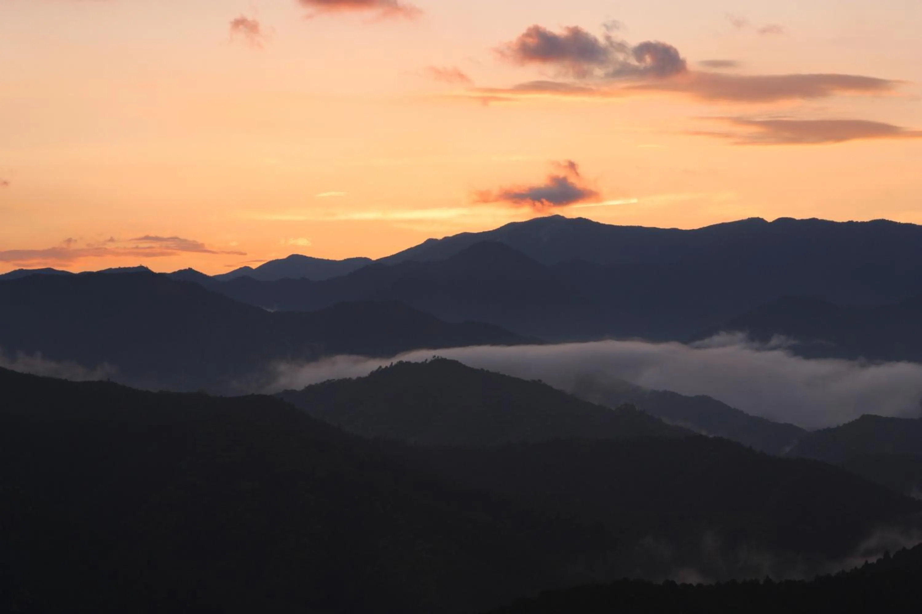 Area and facilities in Ashita no Mori