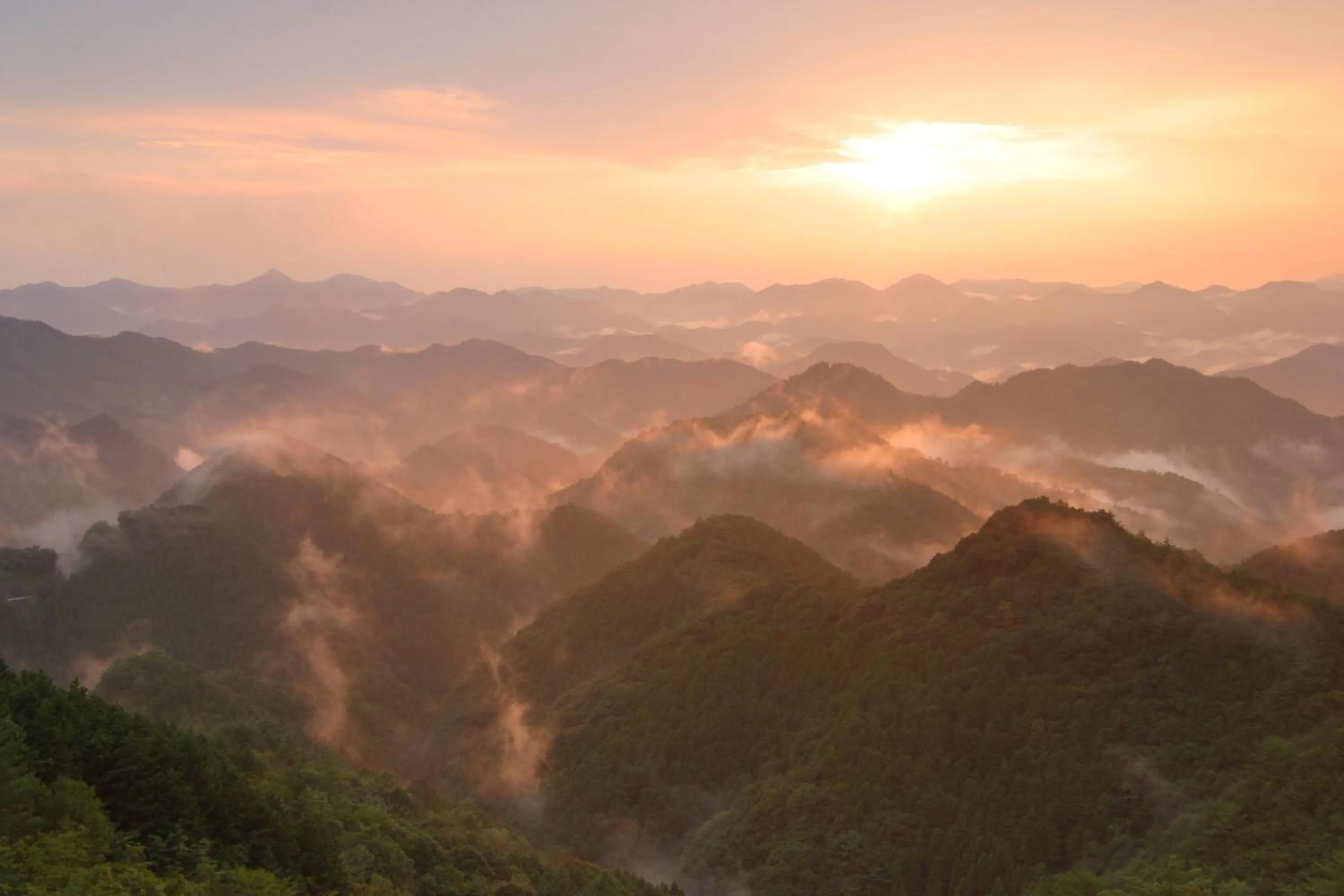 Area and facilities in Ashita no Mori