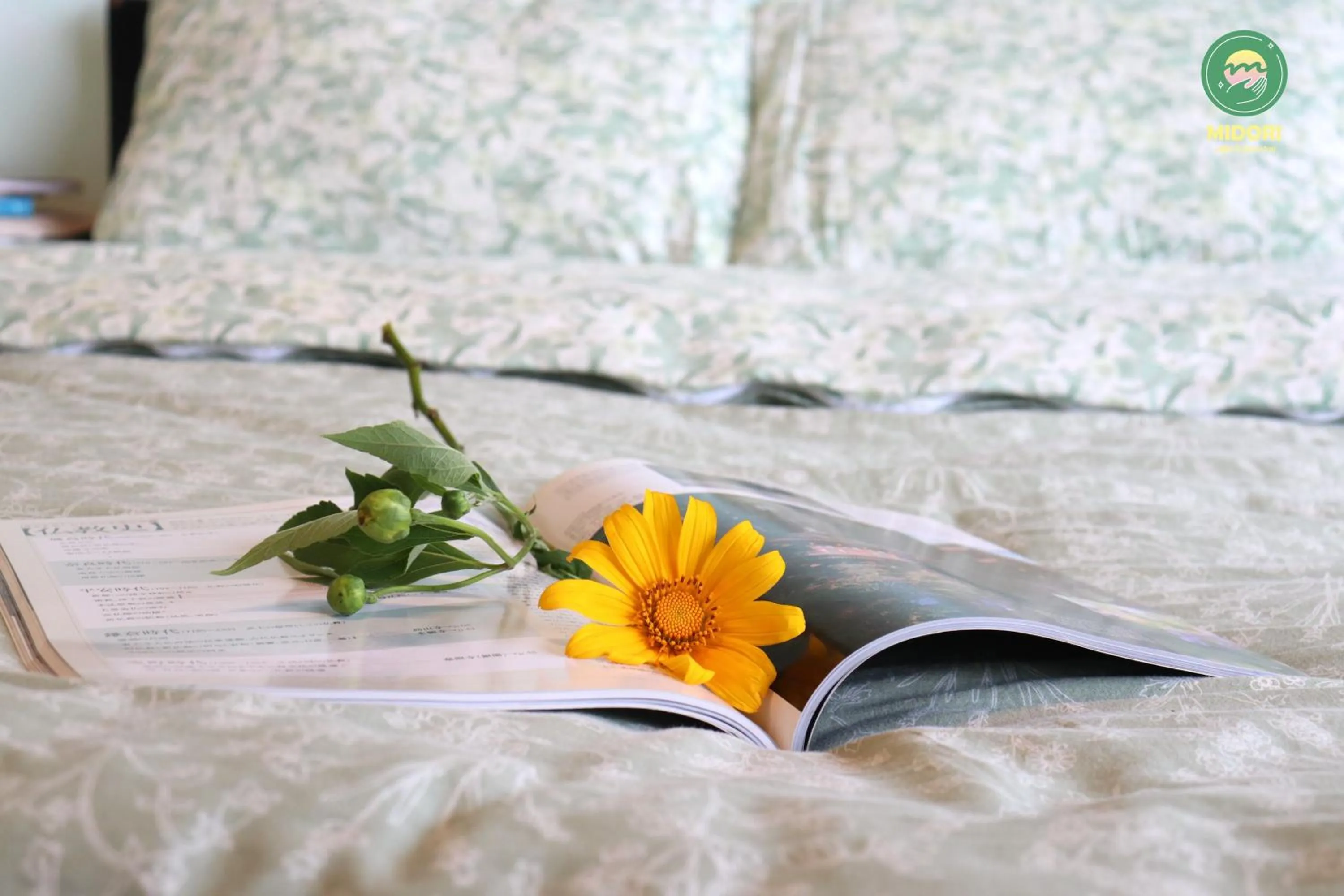 Photo of the whole room in Midori Heritage Coffee Farm