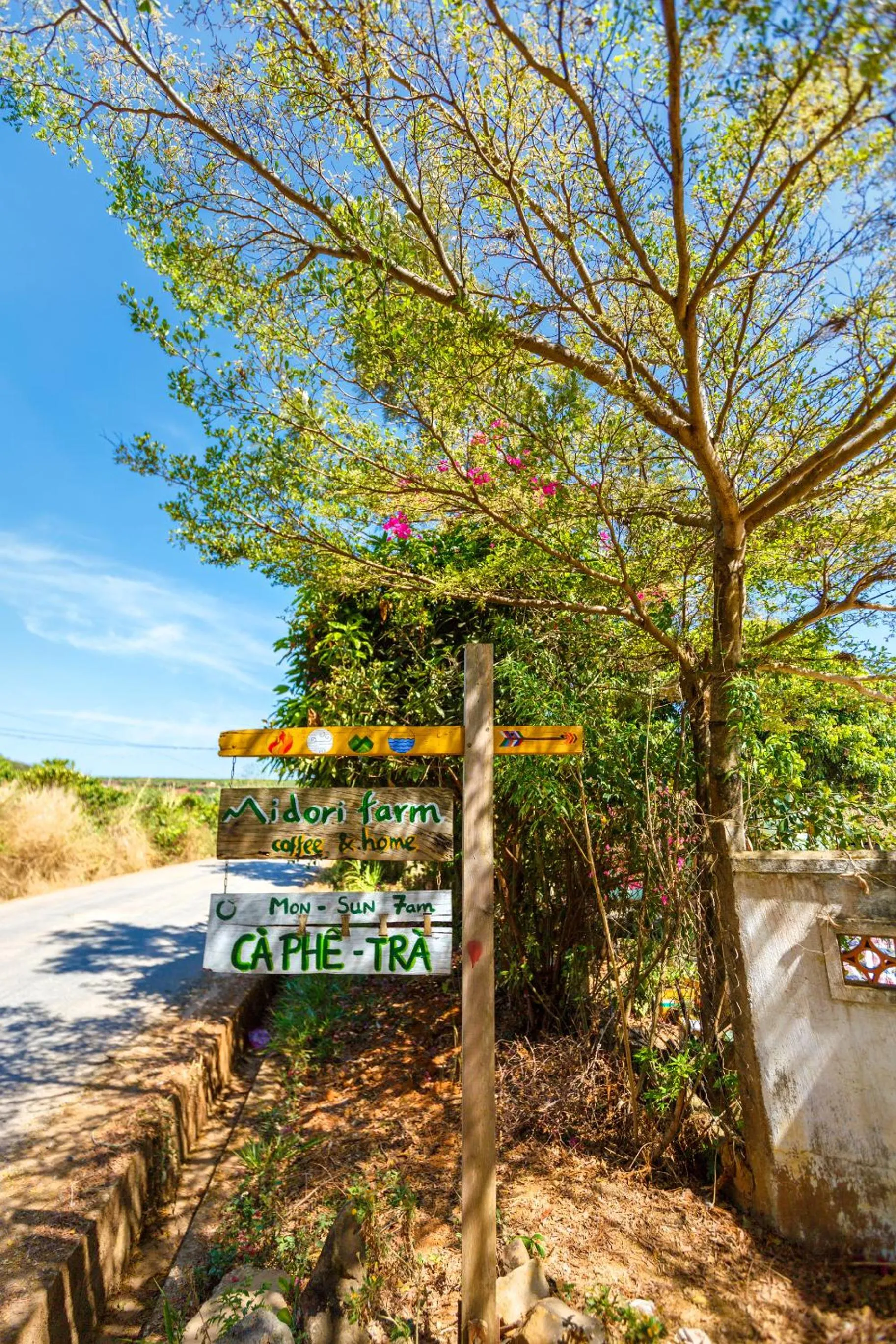 Natural landscape in Midori Heritage Coffee Farm