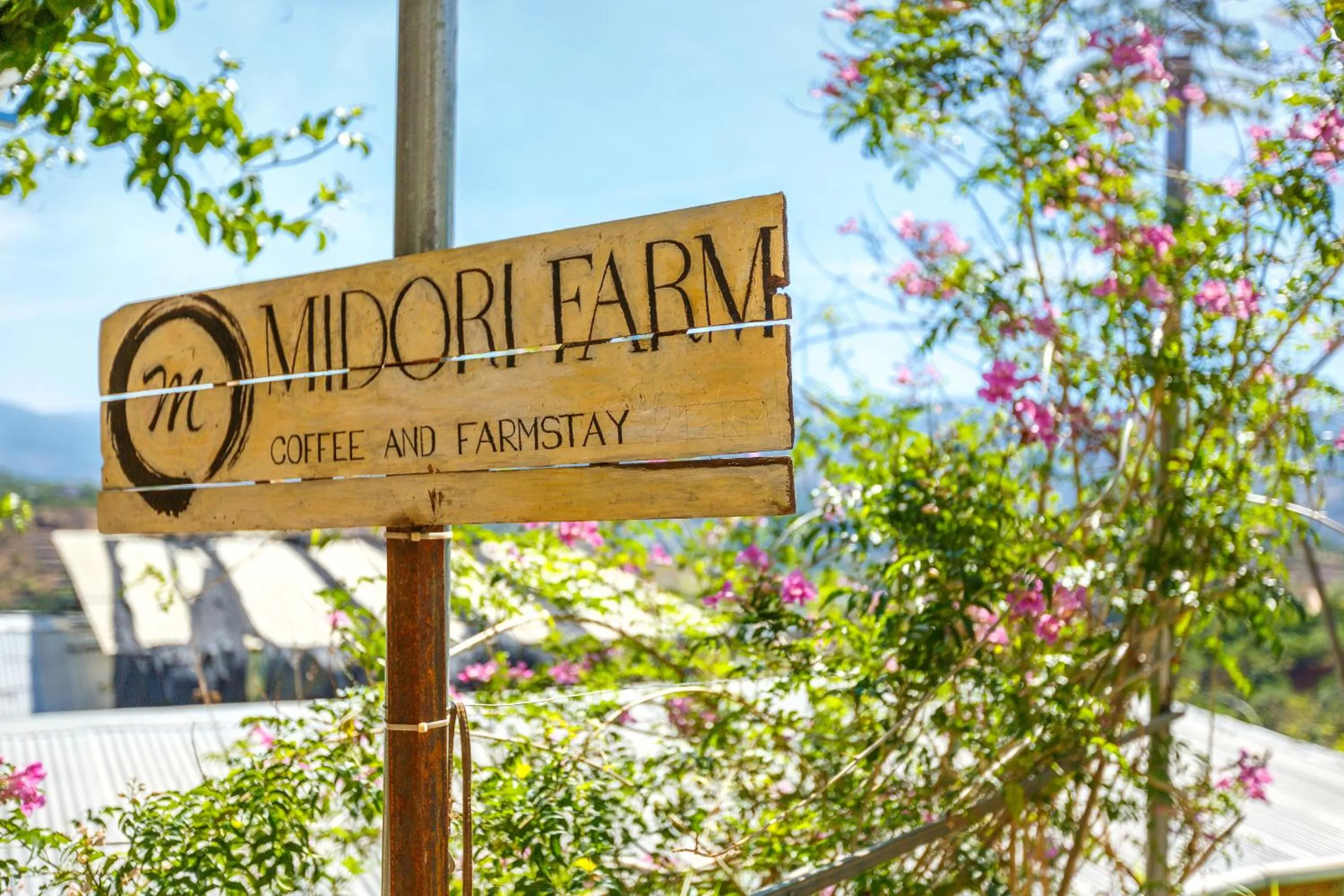 Logo/Certificate/Sign in Midori Heritage Coffee Farm