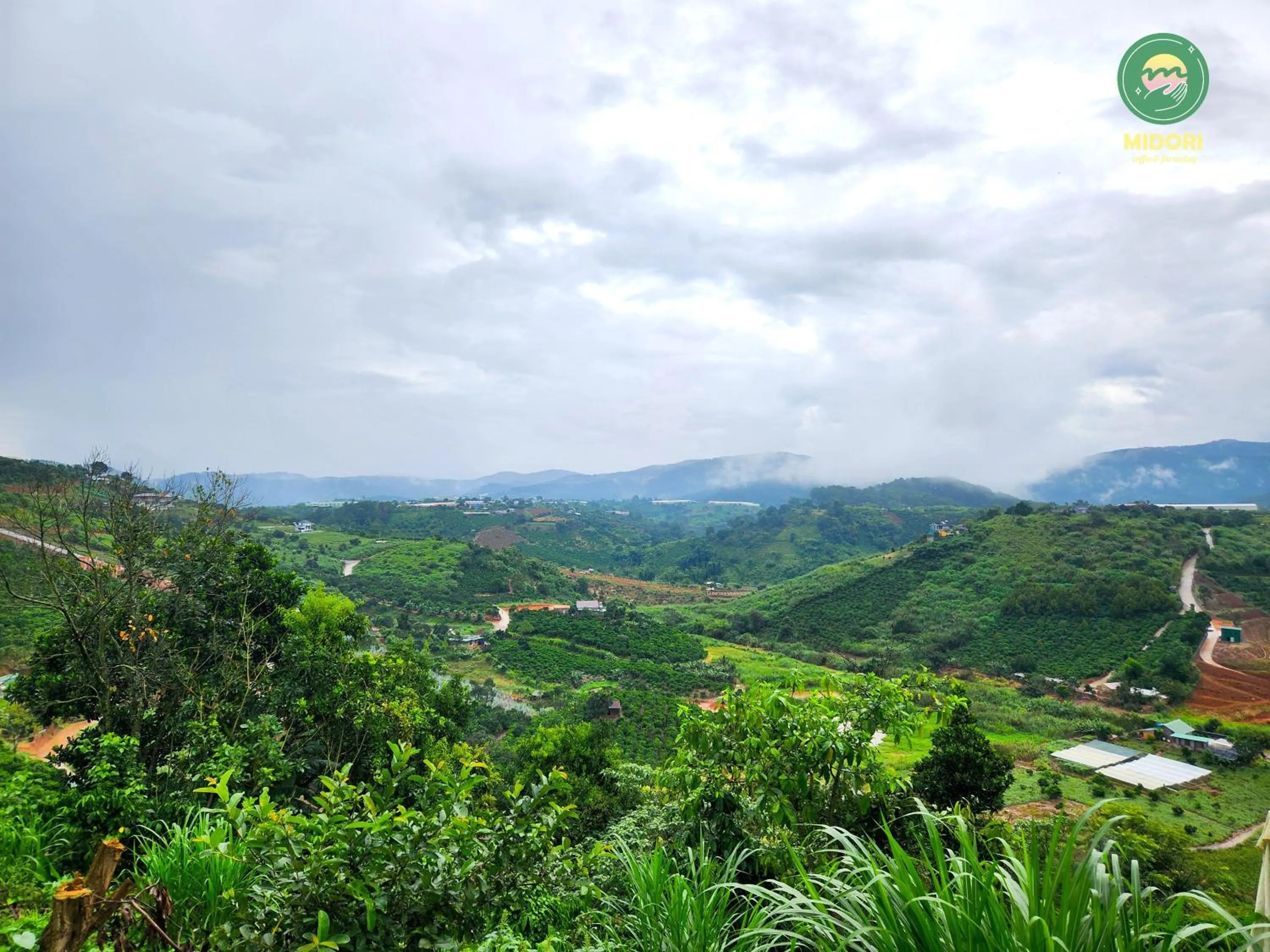 Restaurant/places to eat in Midori Heritage Coffee Farm