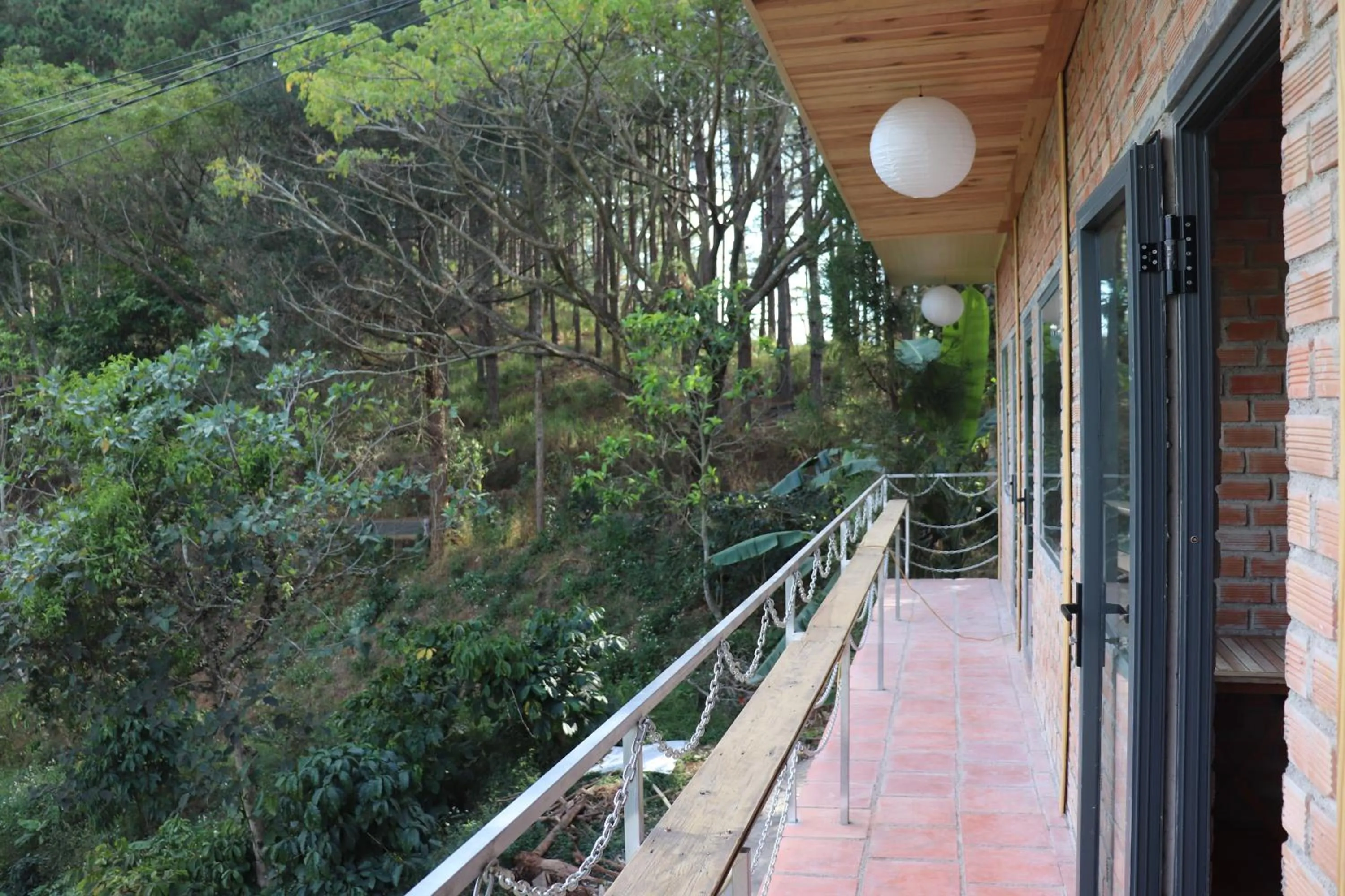 Day in Midori Heritage Coffee Farm