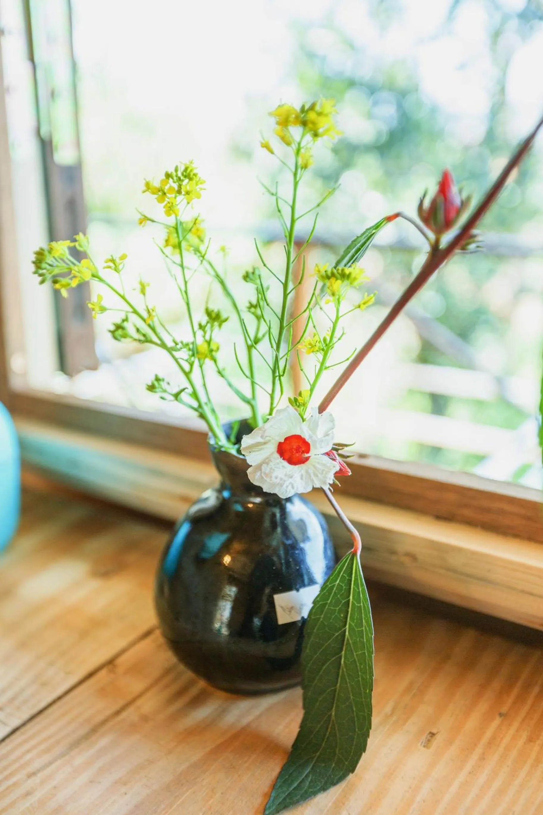 Garden in Midori Heritage Coffee Farm