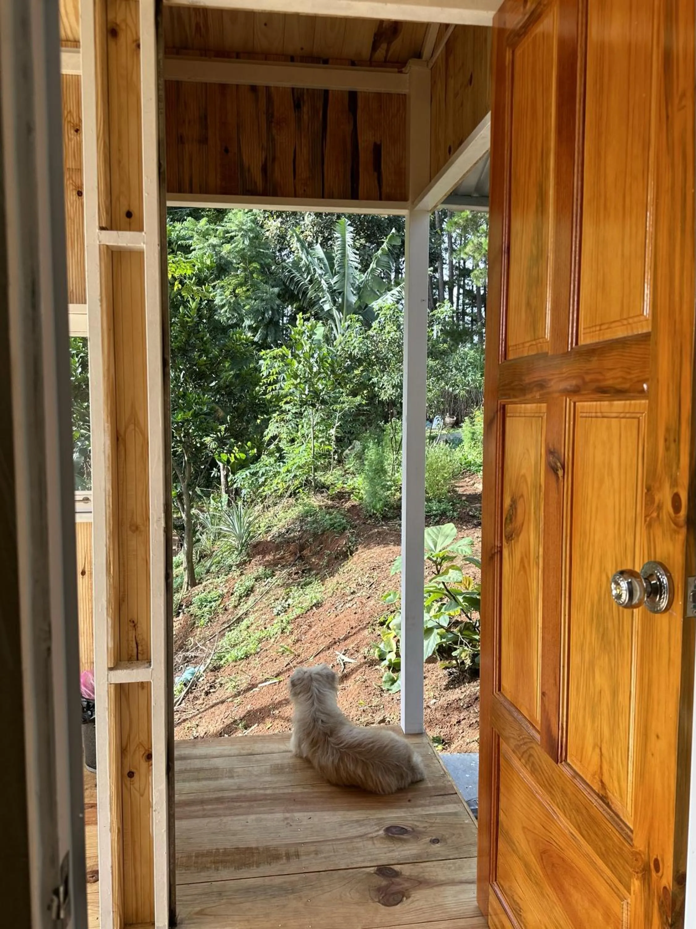 Day in Midori Heritage Coffee Farm