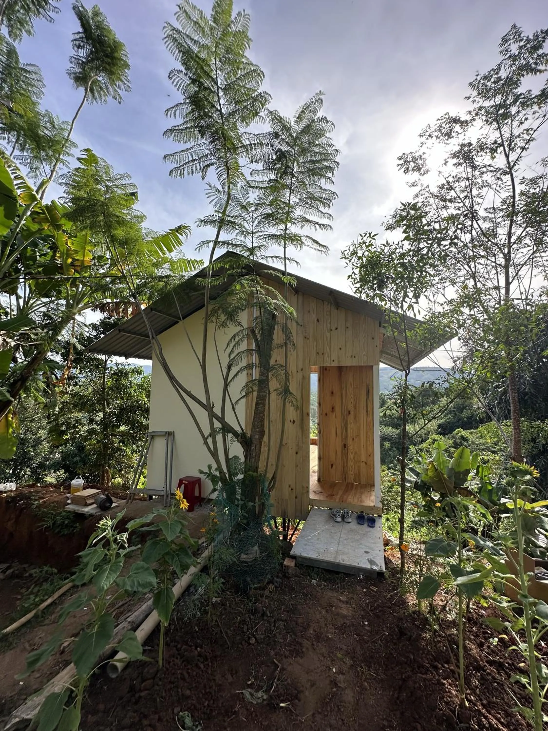 Garden view in Midori Heritage Coffee Farm