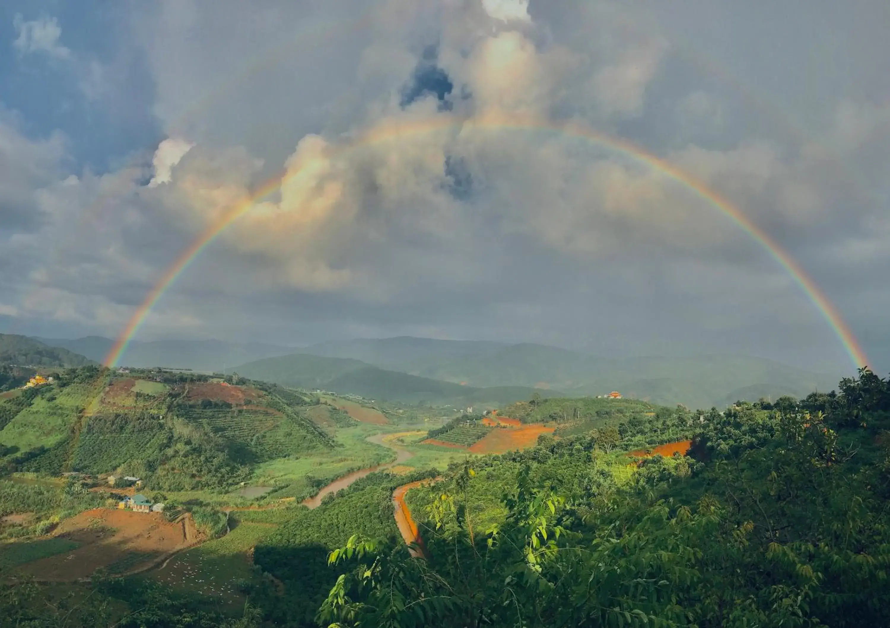 Midori Heritage Coffee Farm Midori Heritage Coffee Farm