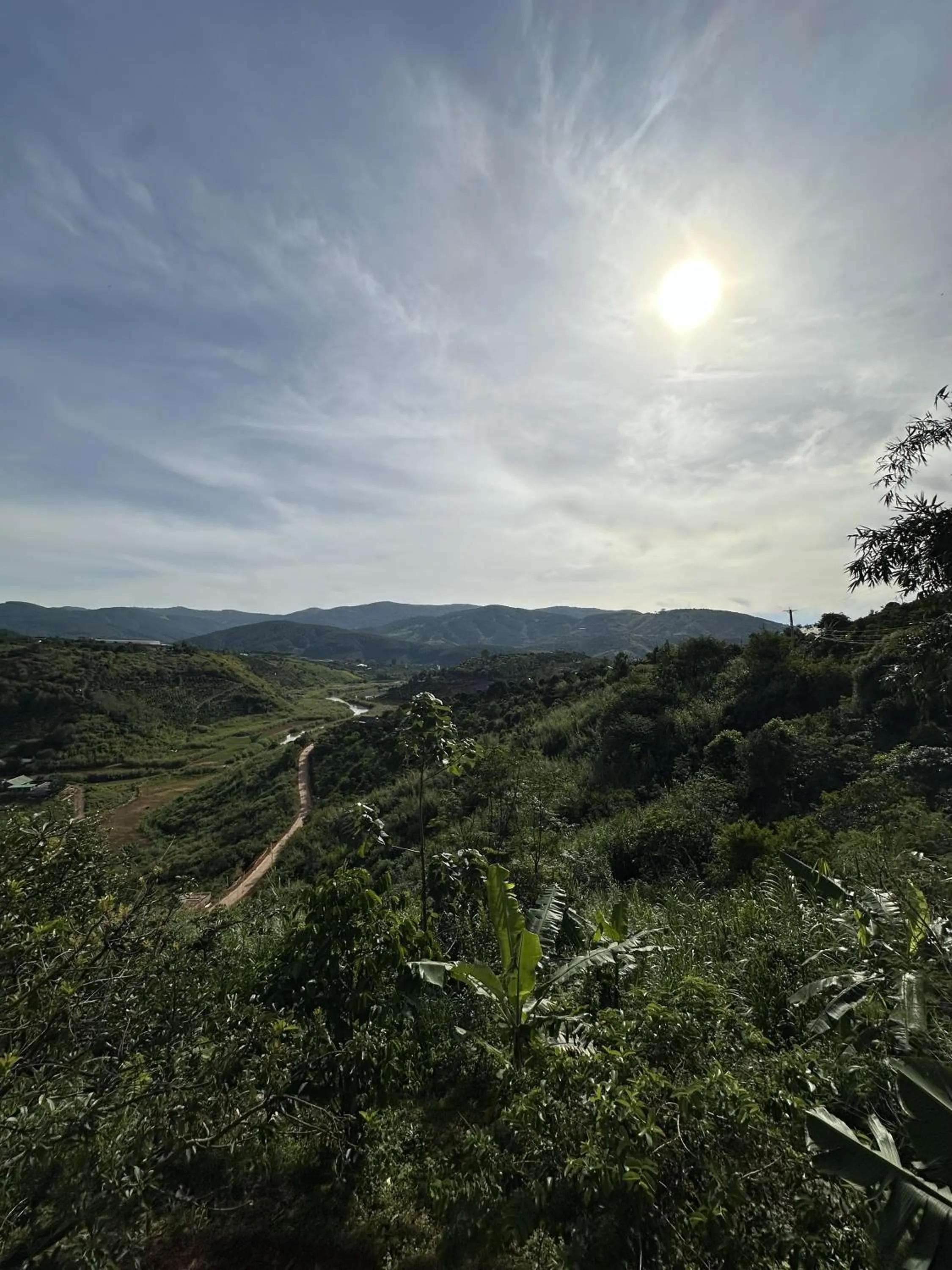 Day in Midori Heritage Coffee Farm