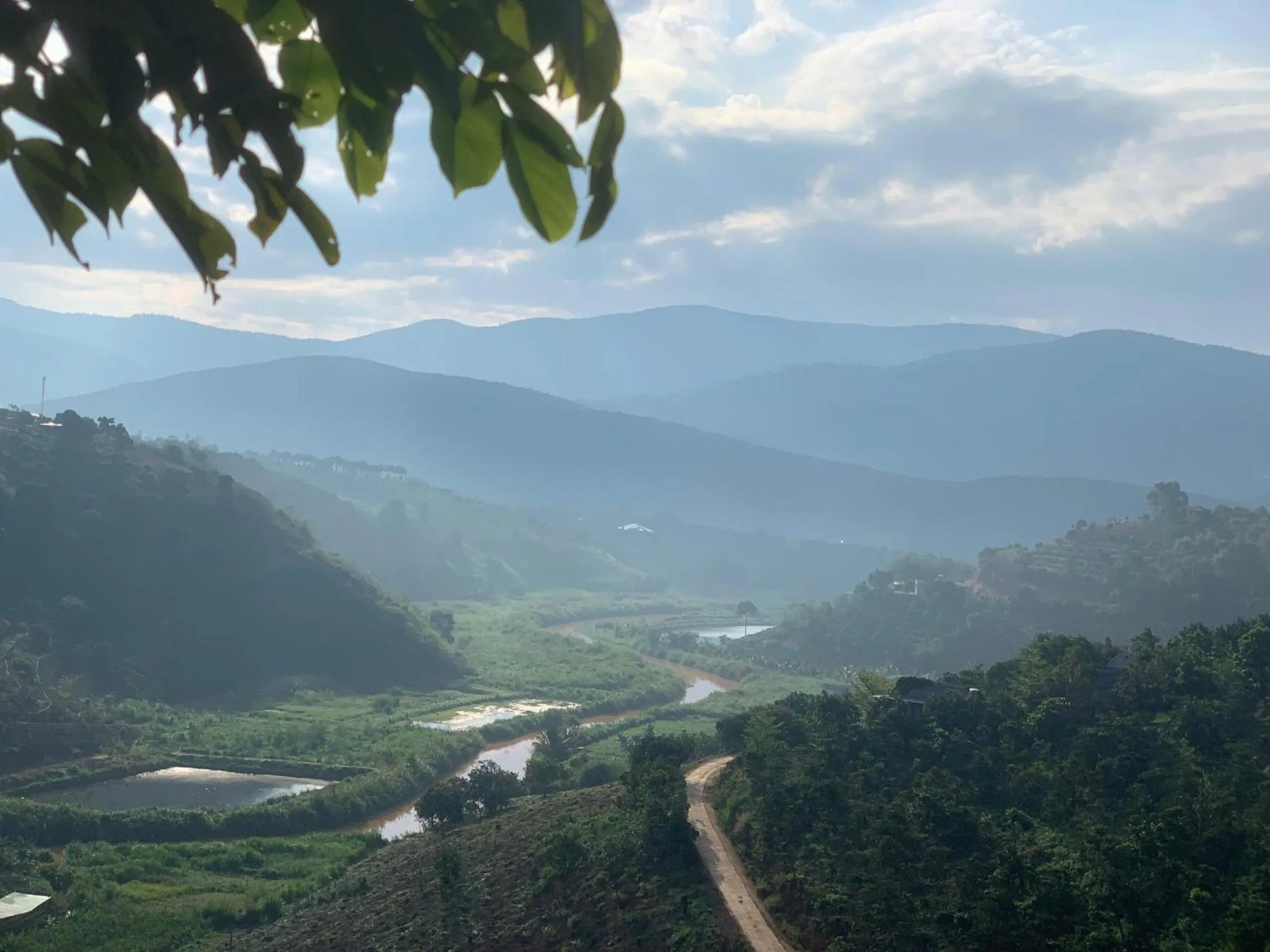 Natural landscape in Midori Heritage Coffee Farm