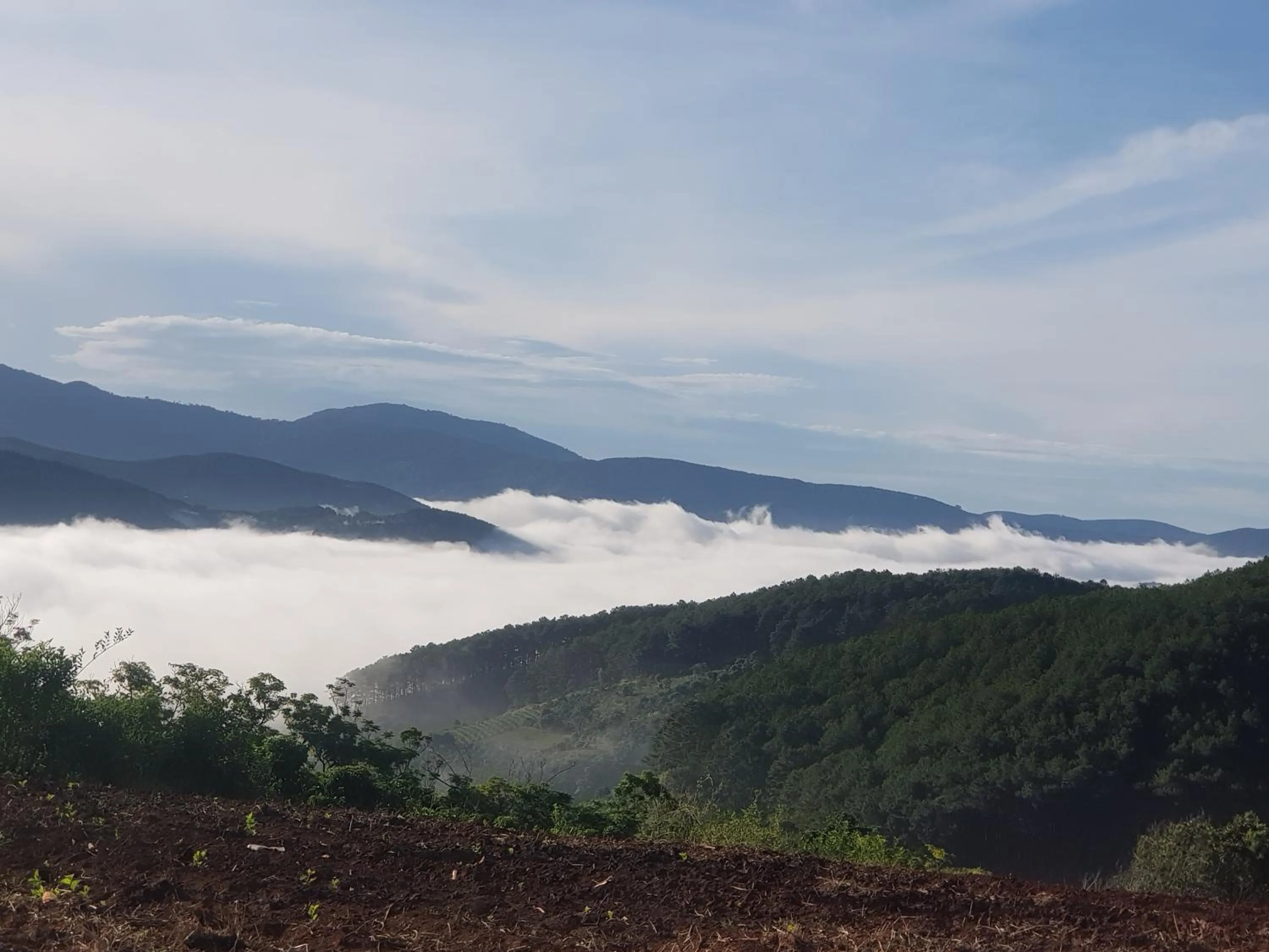 Property building in Midori Heritage Coffee Farm