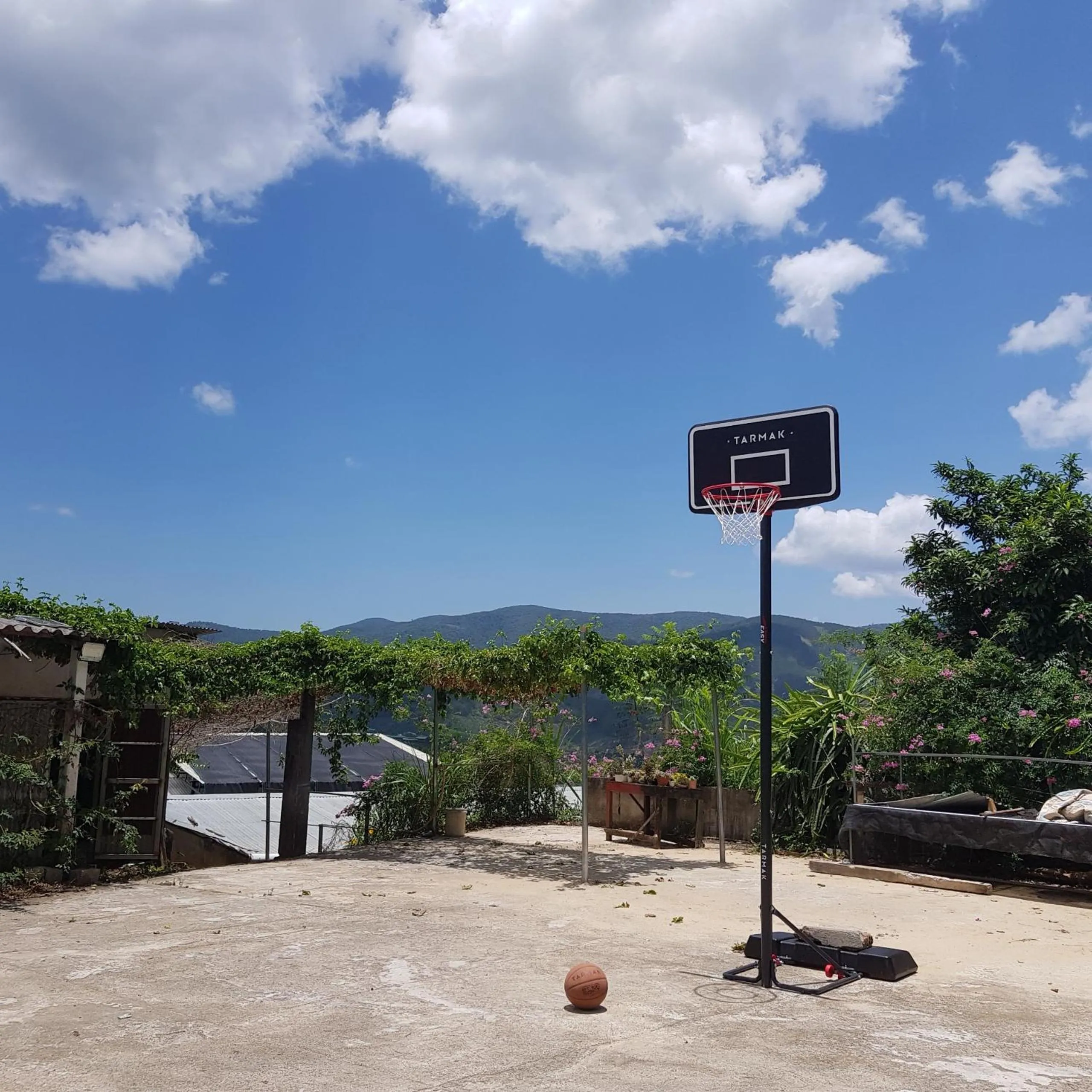 Mountain view in Midori Heritage Coffee Farm