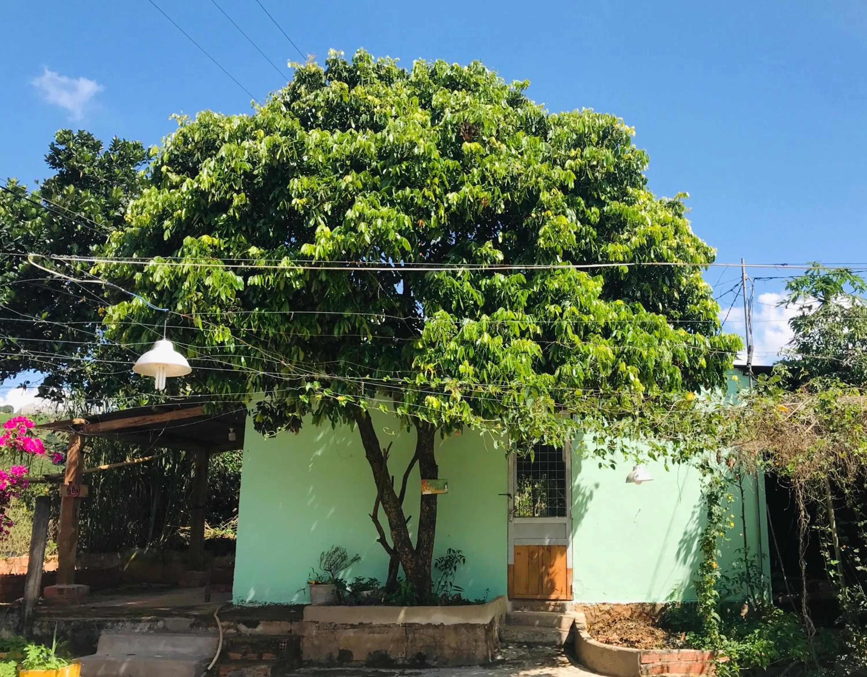 Spring in Midori Heritage Coffee Farm