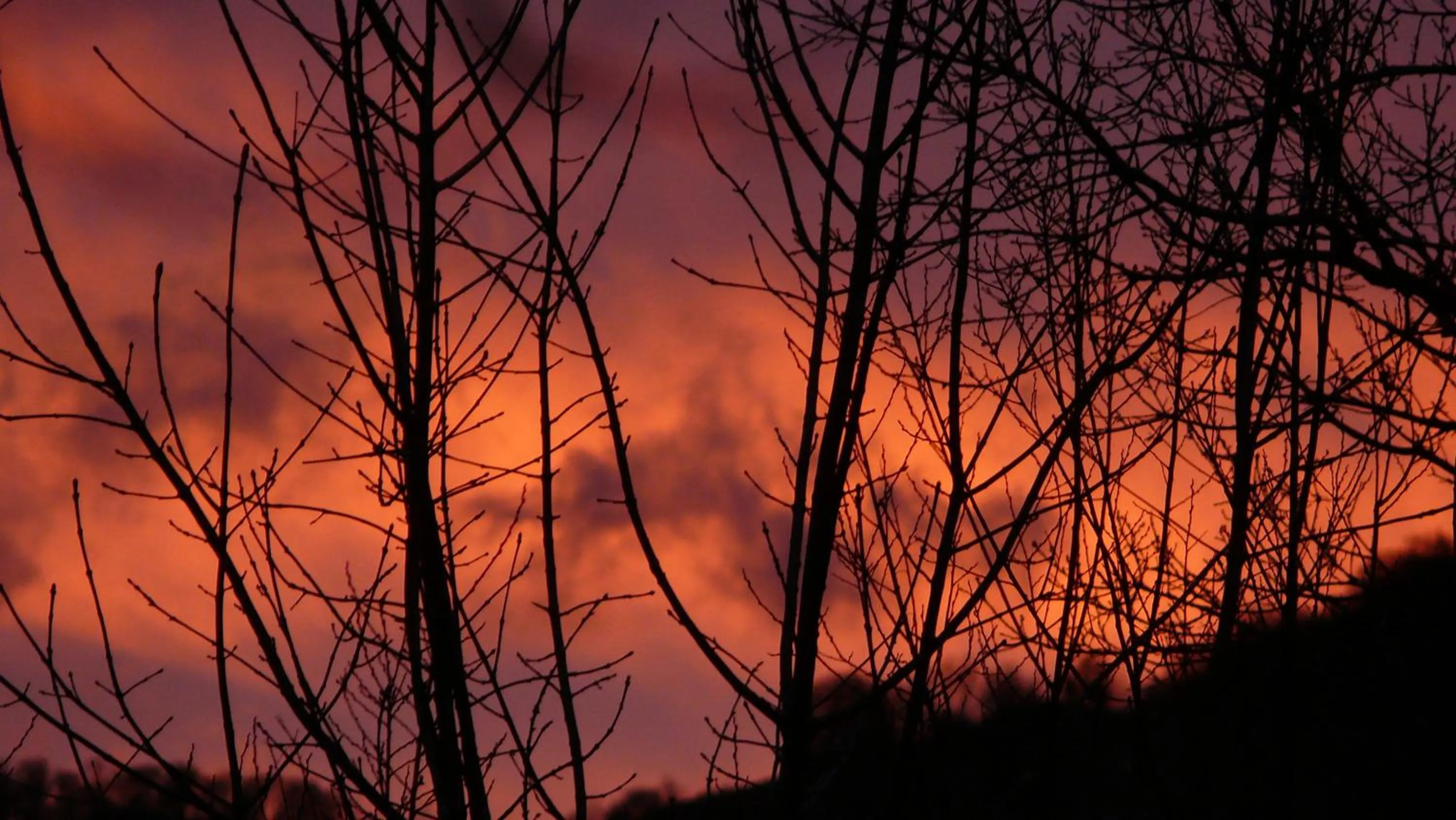 Natural landscape in chambre chez sylvie
