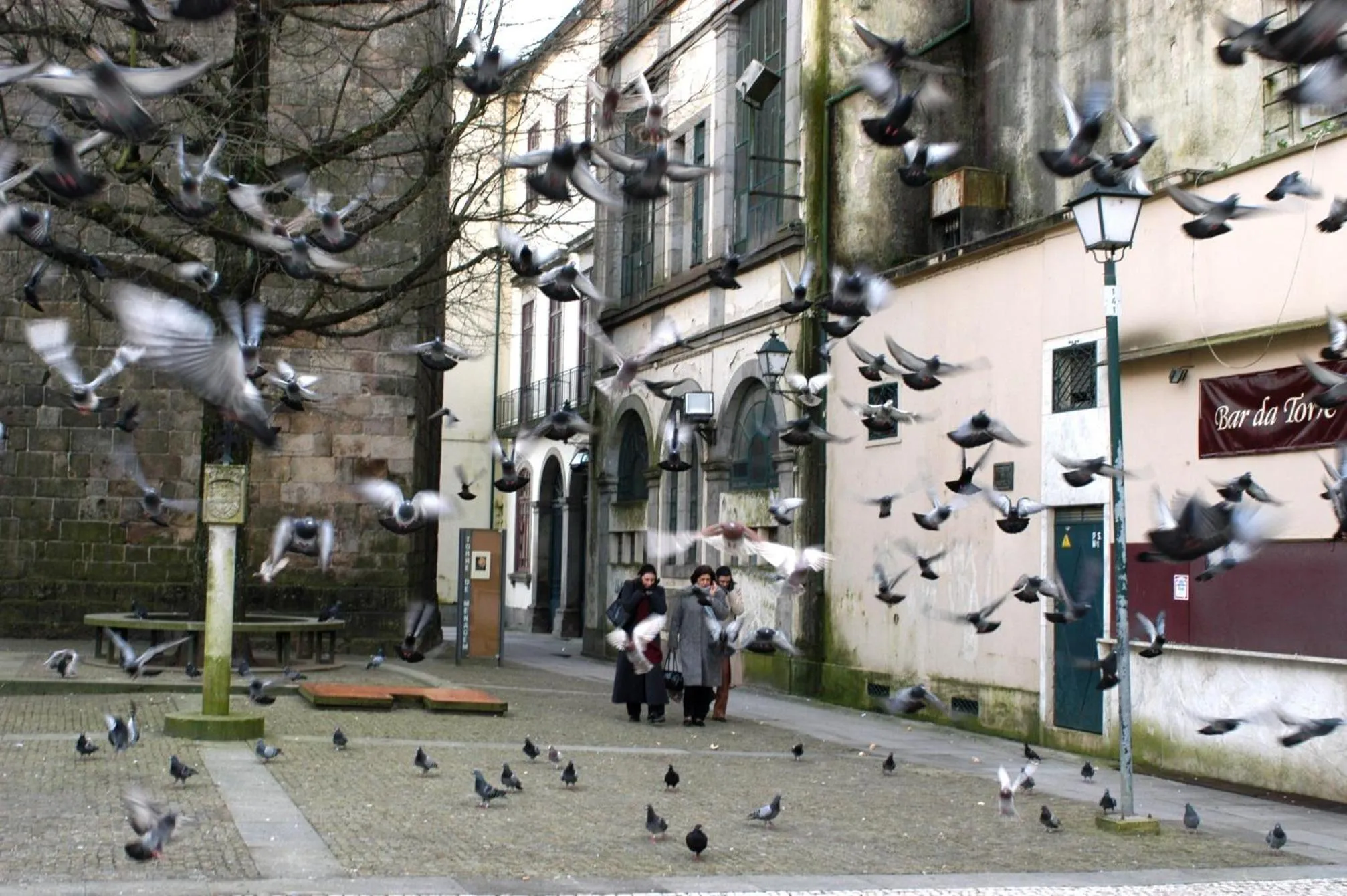 Area and facilities in Hotel do Lago