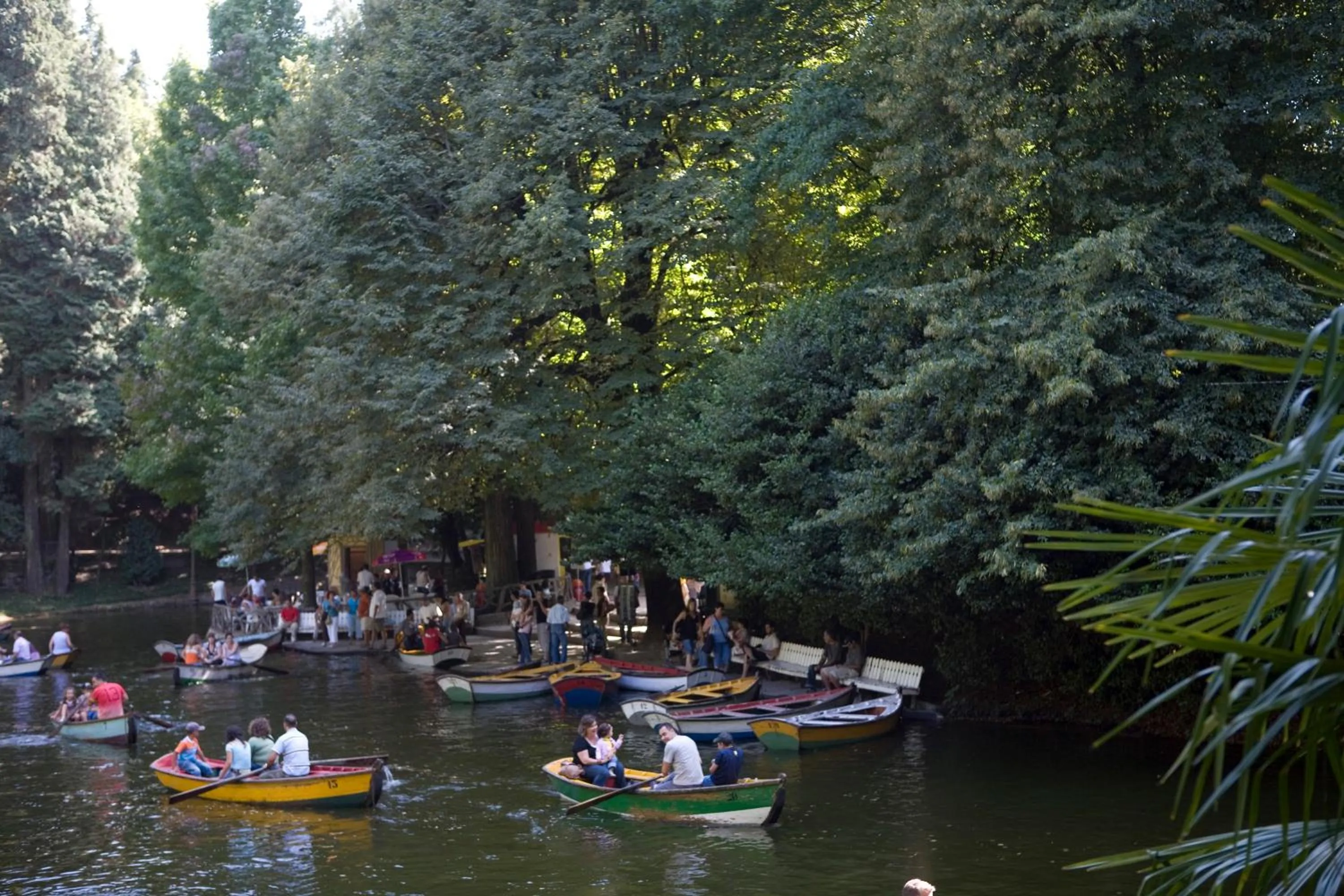Area and facilities in Hotel do Lago