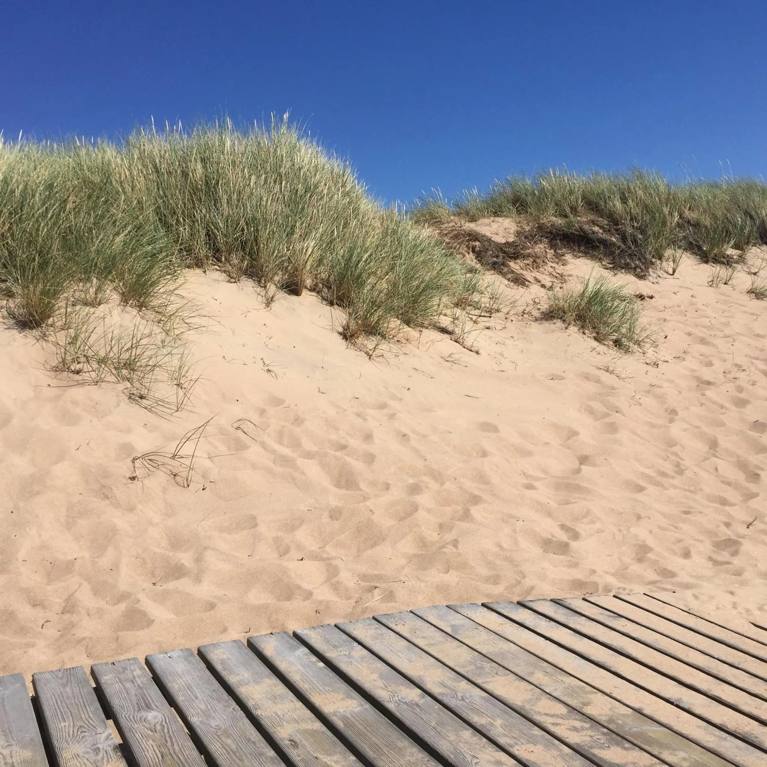 Beach in Ringenäs Hotell & Konferens