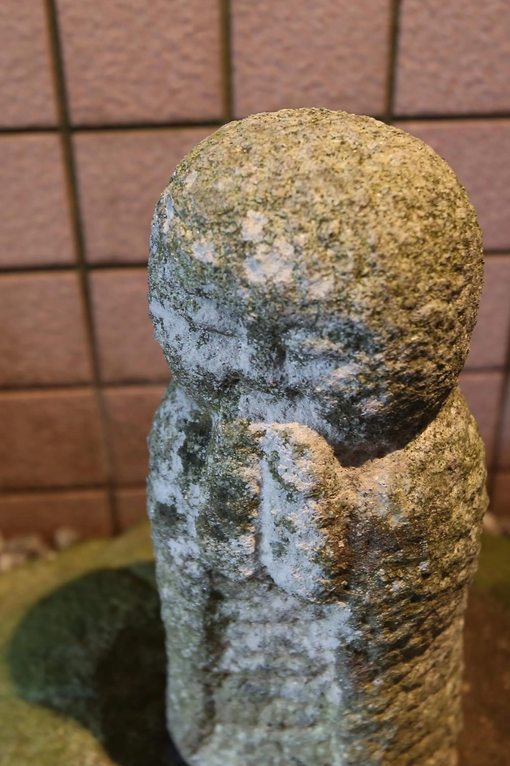 Property building in Niemonya