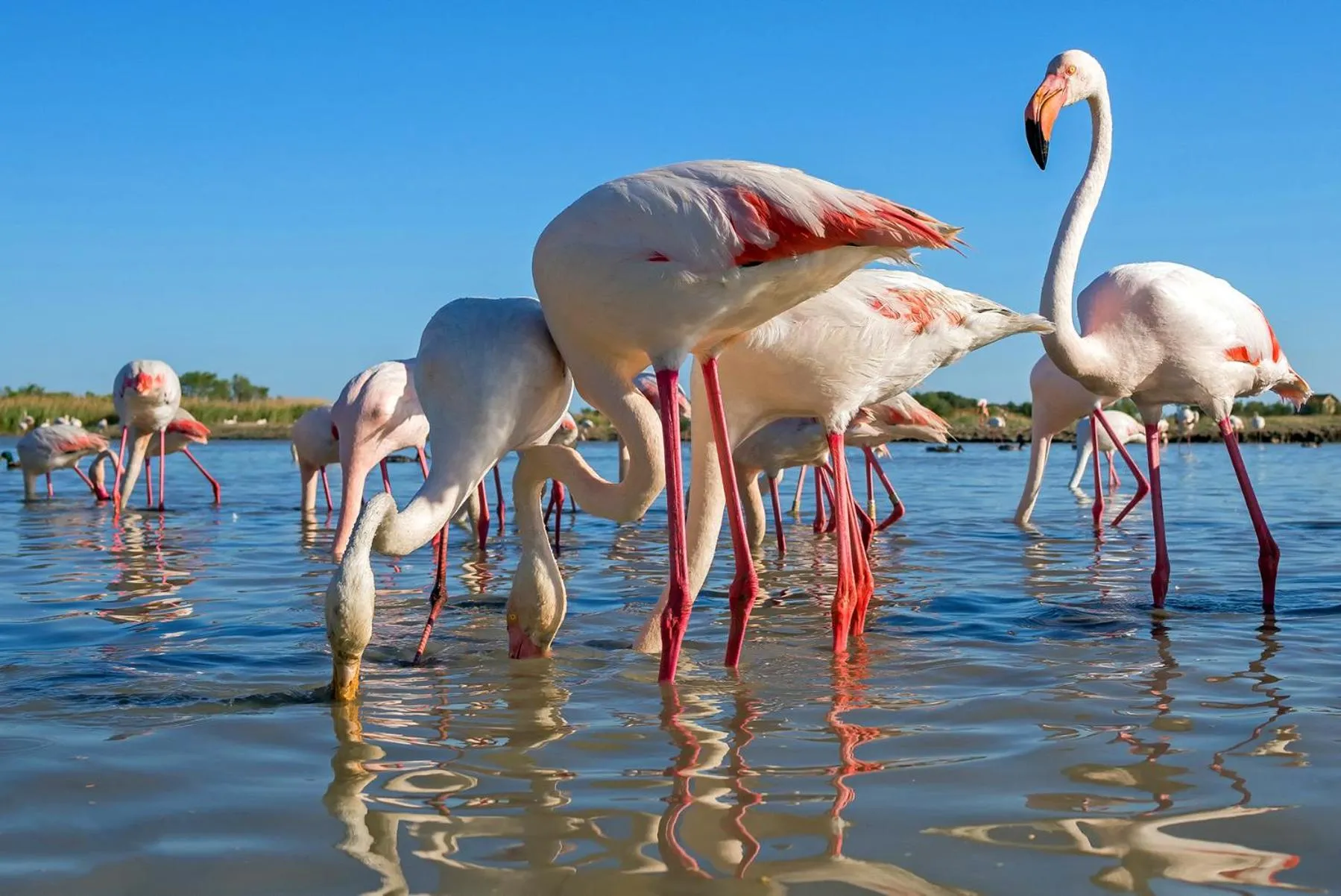 Natural landscape in Azureva Le Grau du Roi
